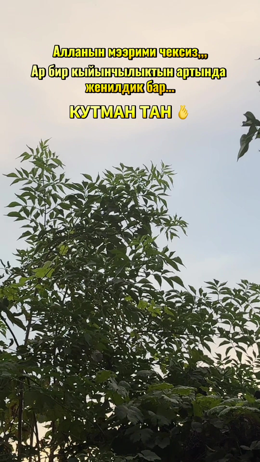 @💫💫ГУЛНАЗ БАТКЕН 76💫💫
