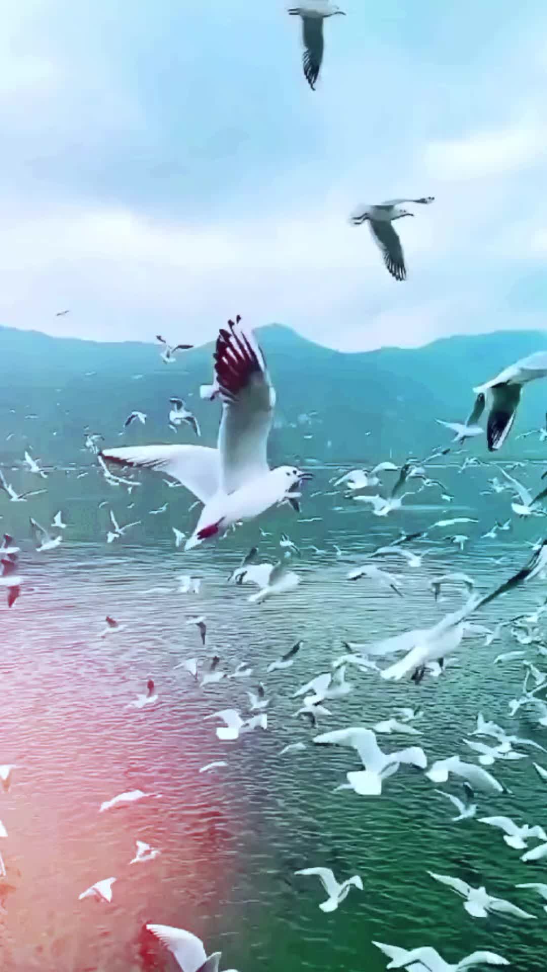 @زيزي عزيزة .
