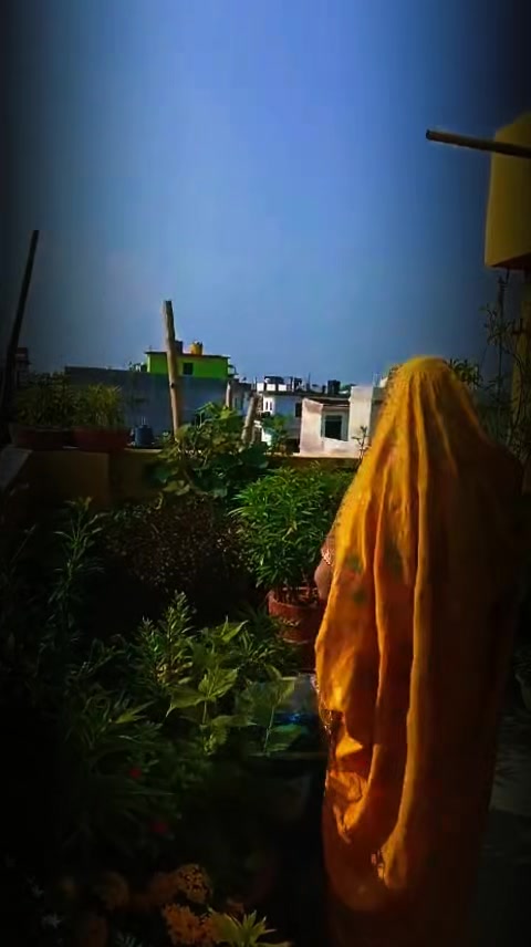 @jslwani