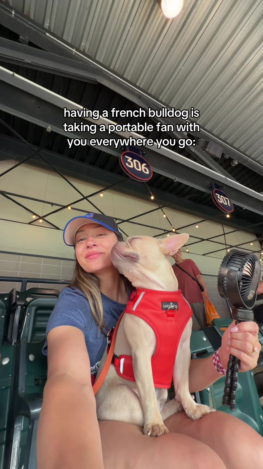 @Winston & Charlie 🐾