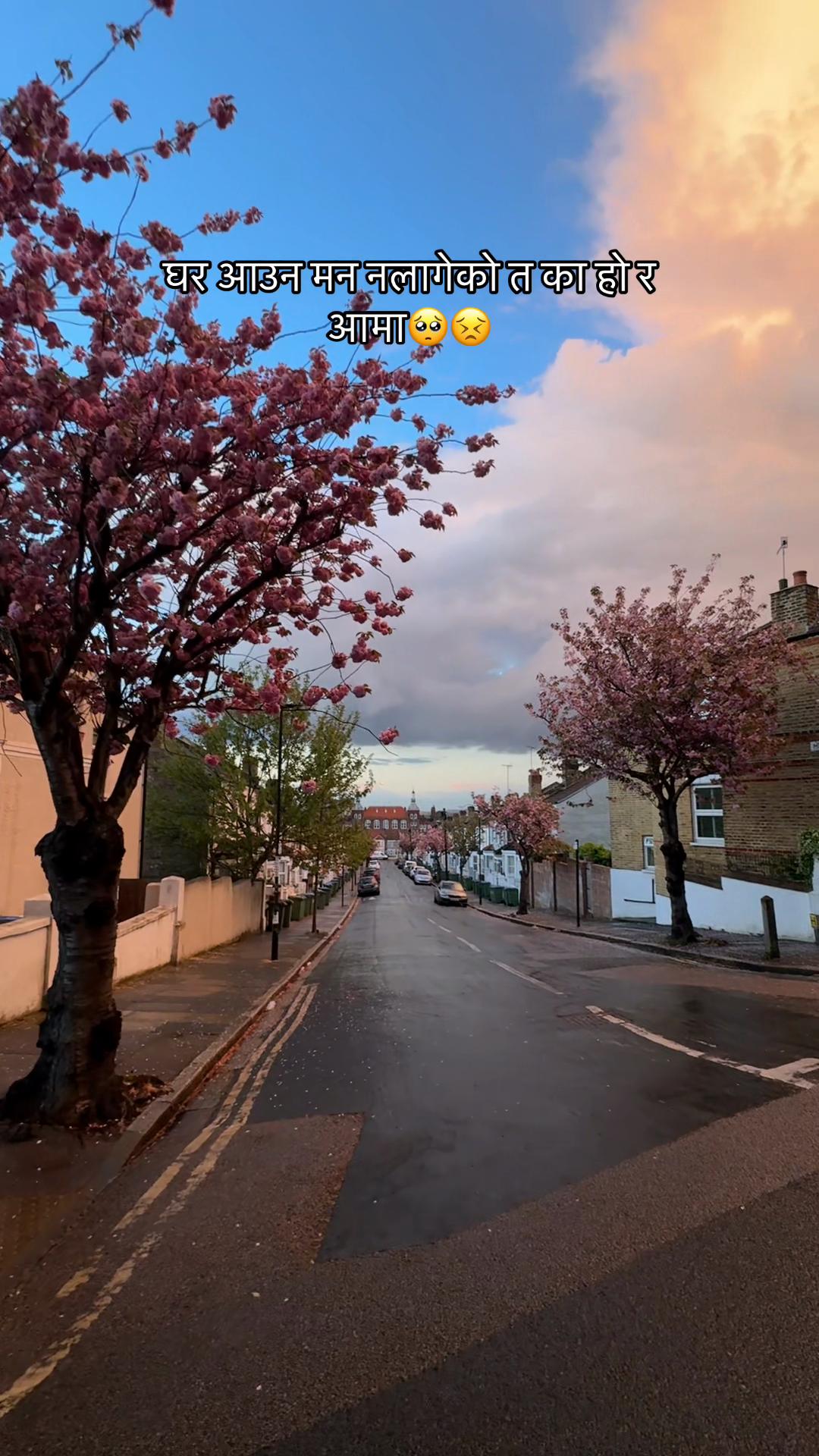 @Pramisha🩹🌸