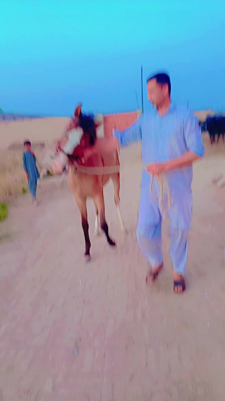 @Mohammad Imran