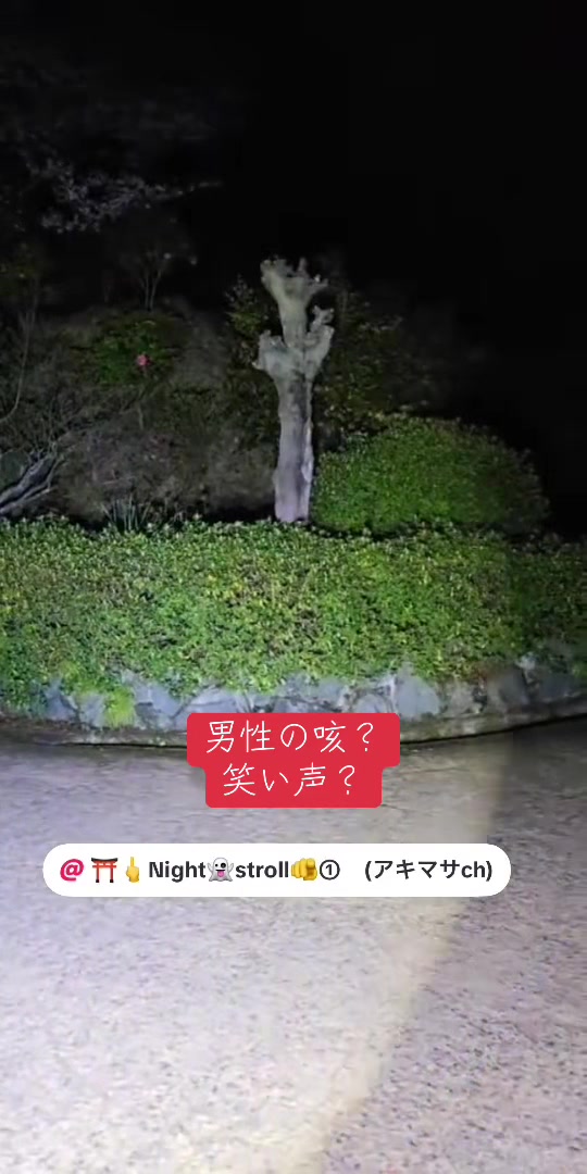 @そら。まめ。👻⛩✨🦁🏴☠️