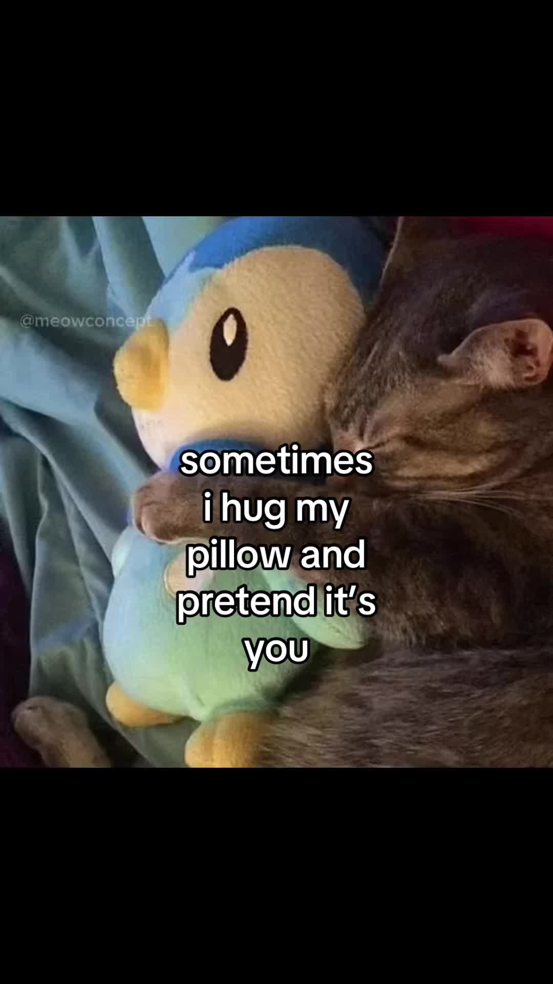 @meowconcept