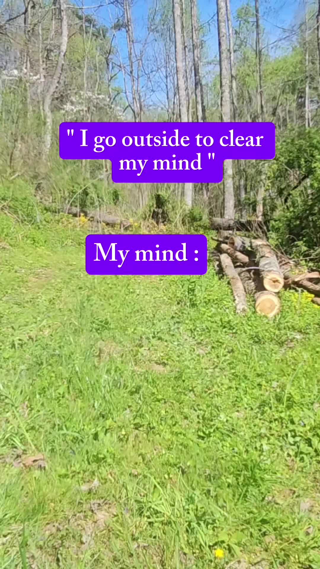 @AppalachiaMntCrone