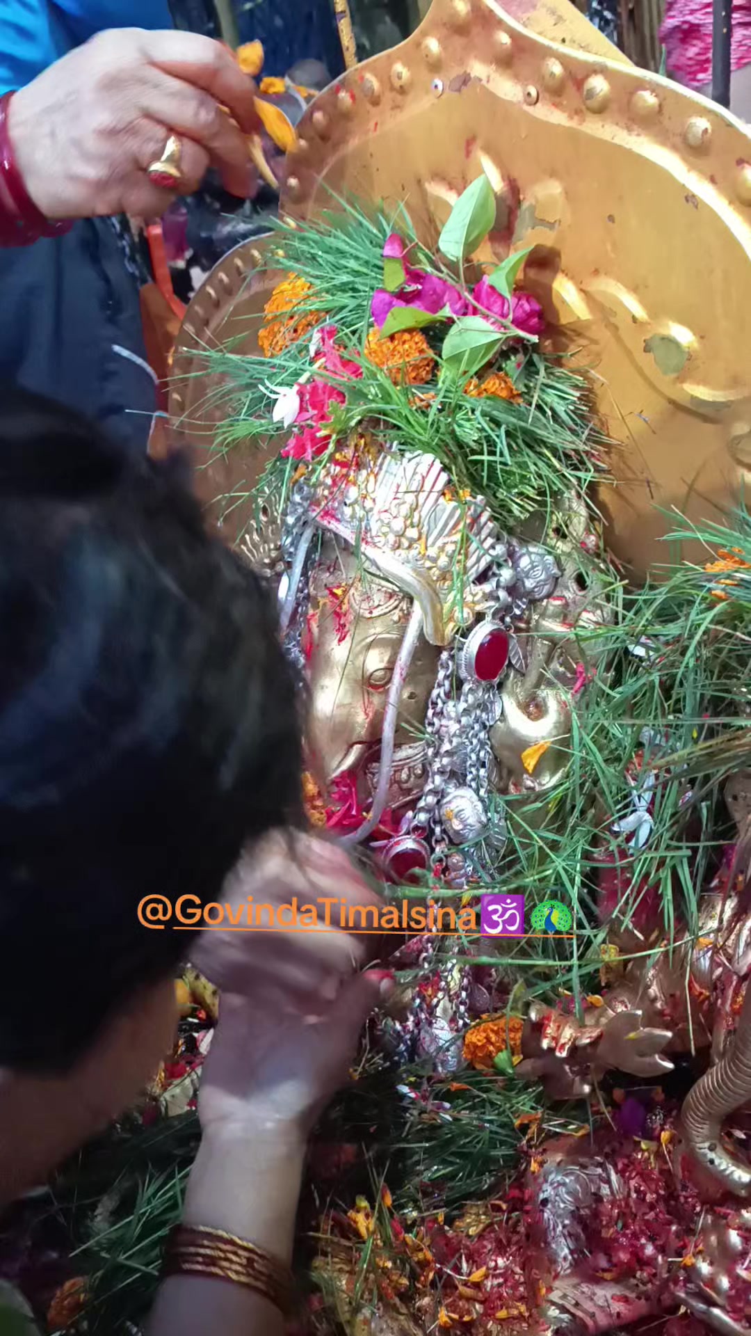 @Govinda Timalsina🕉🦚