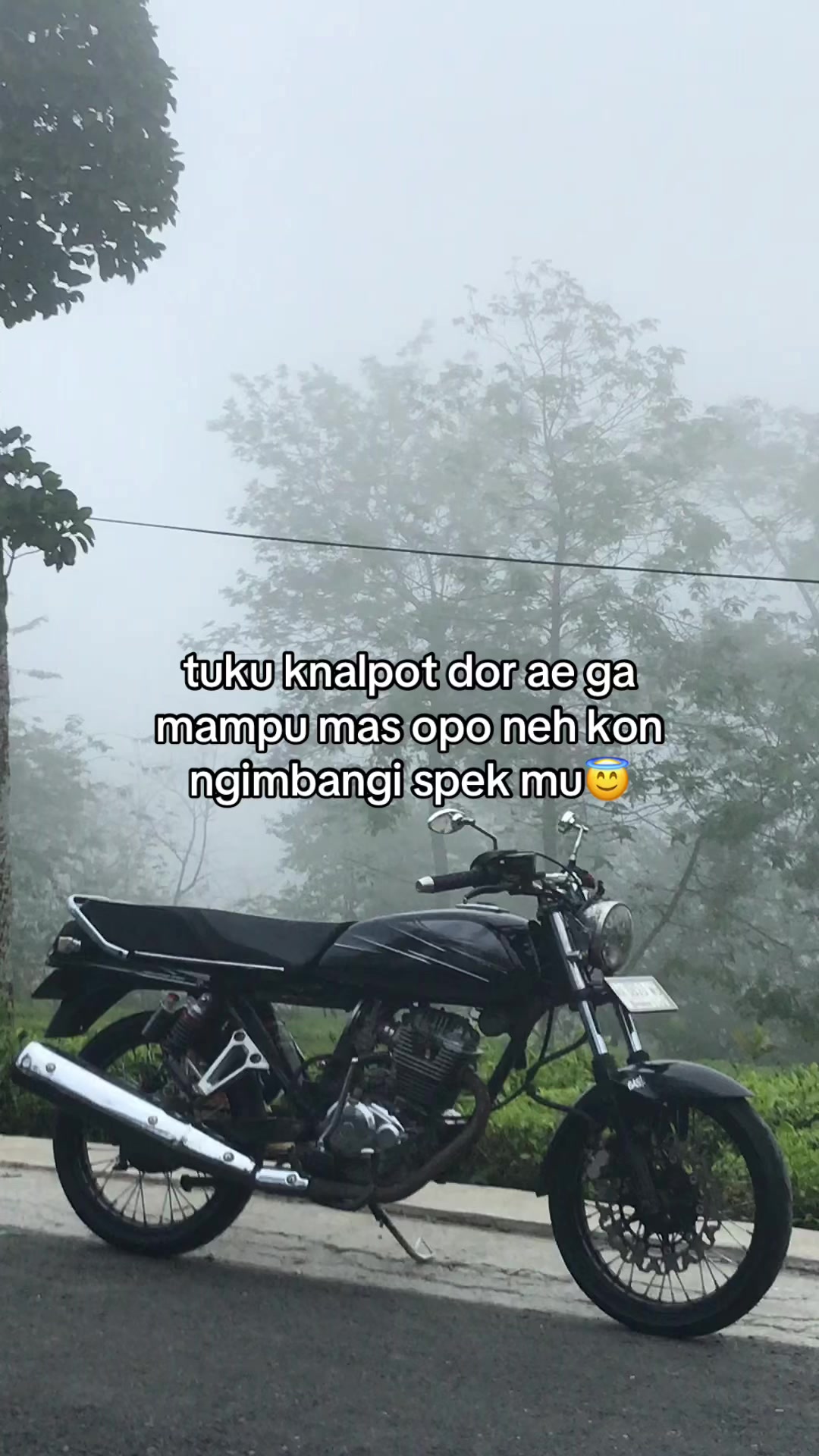 @I M A M A F A N D i