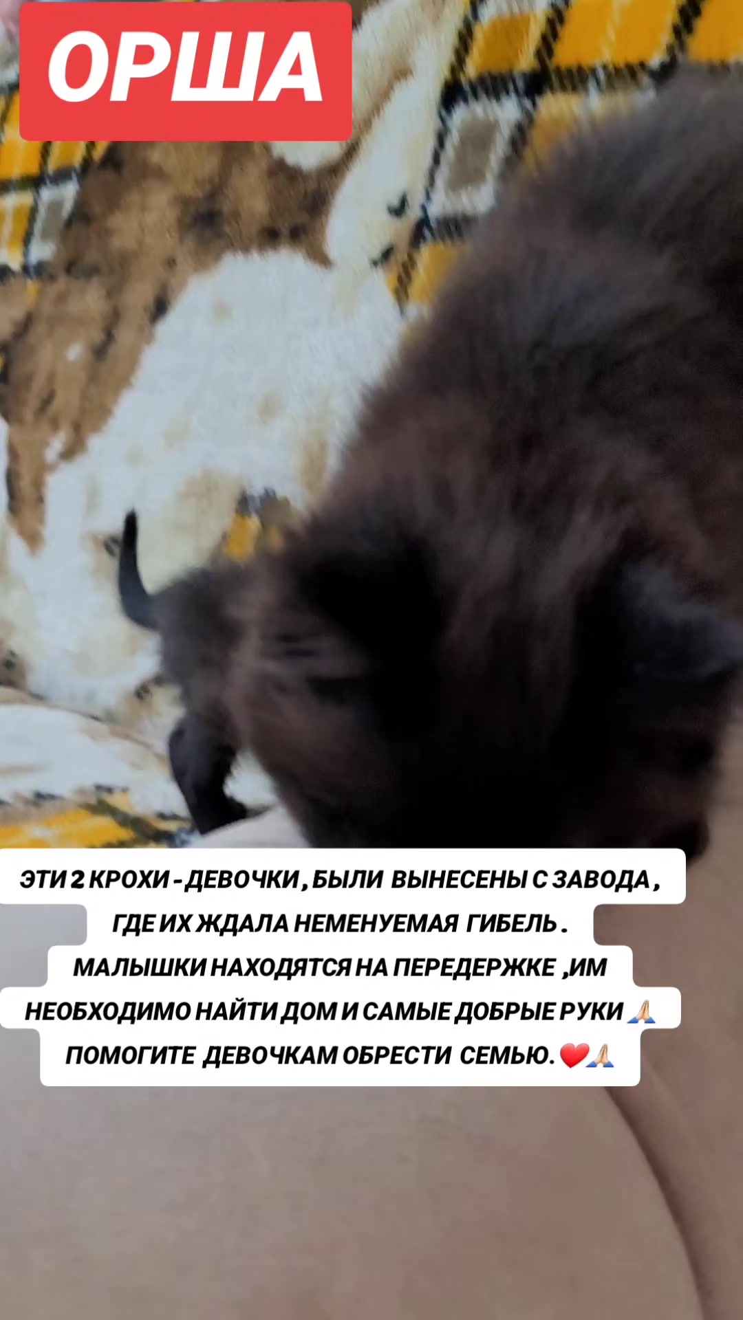 @marinka20_09