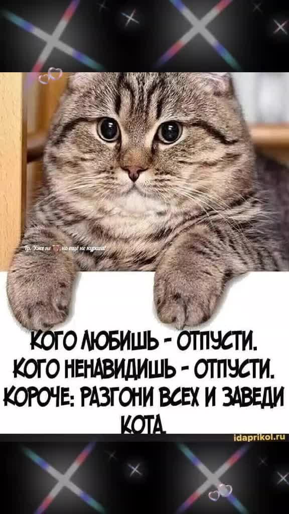 @Елена