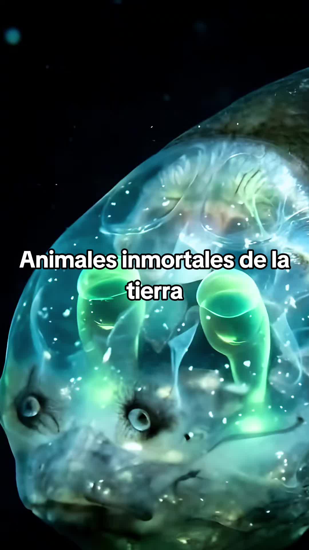 @Viva Historia