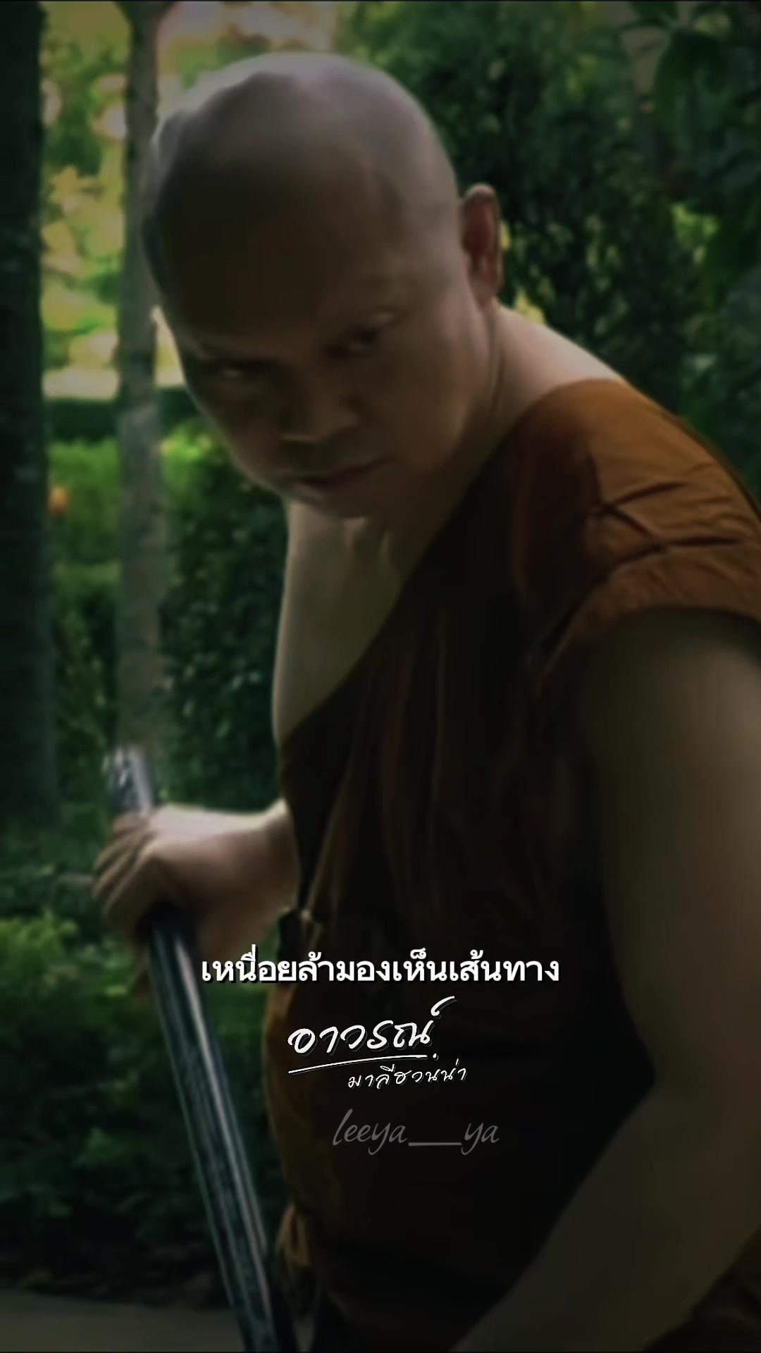 @Leeya_ya