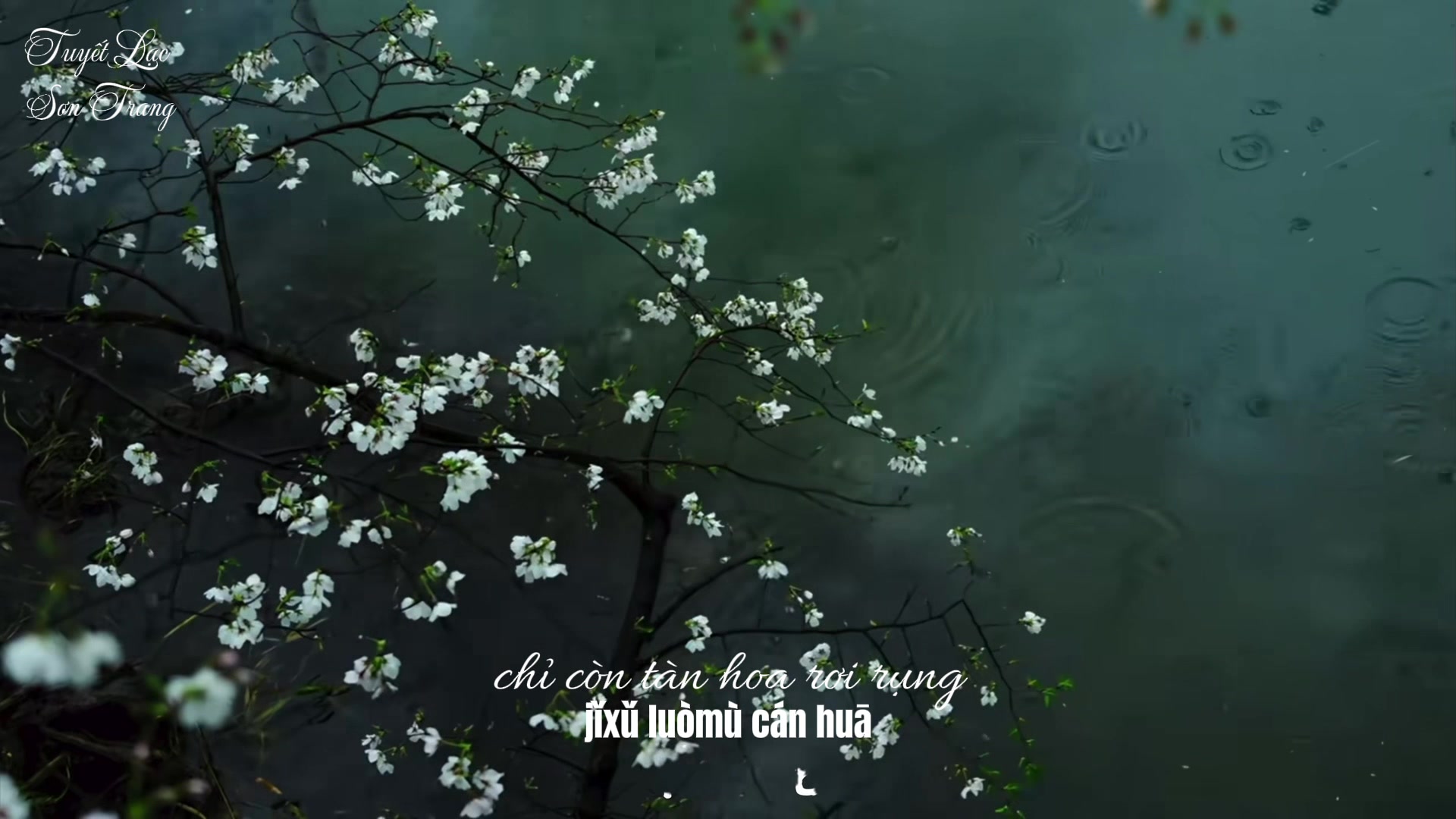 @Tuyết Lạc Sơn Trang