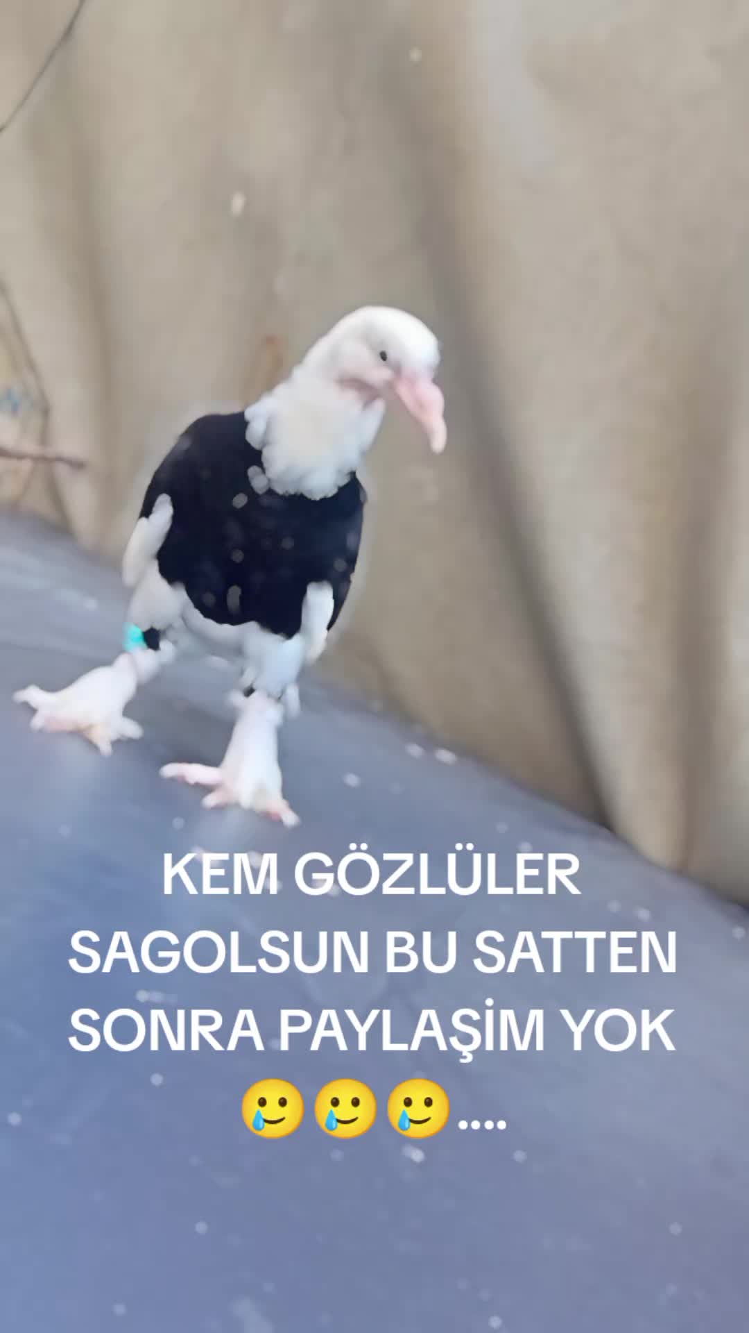 @&Uuml;MİT