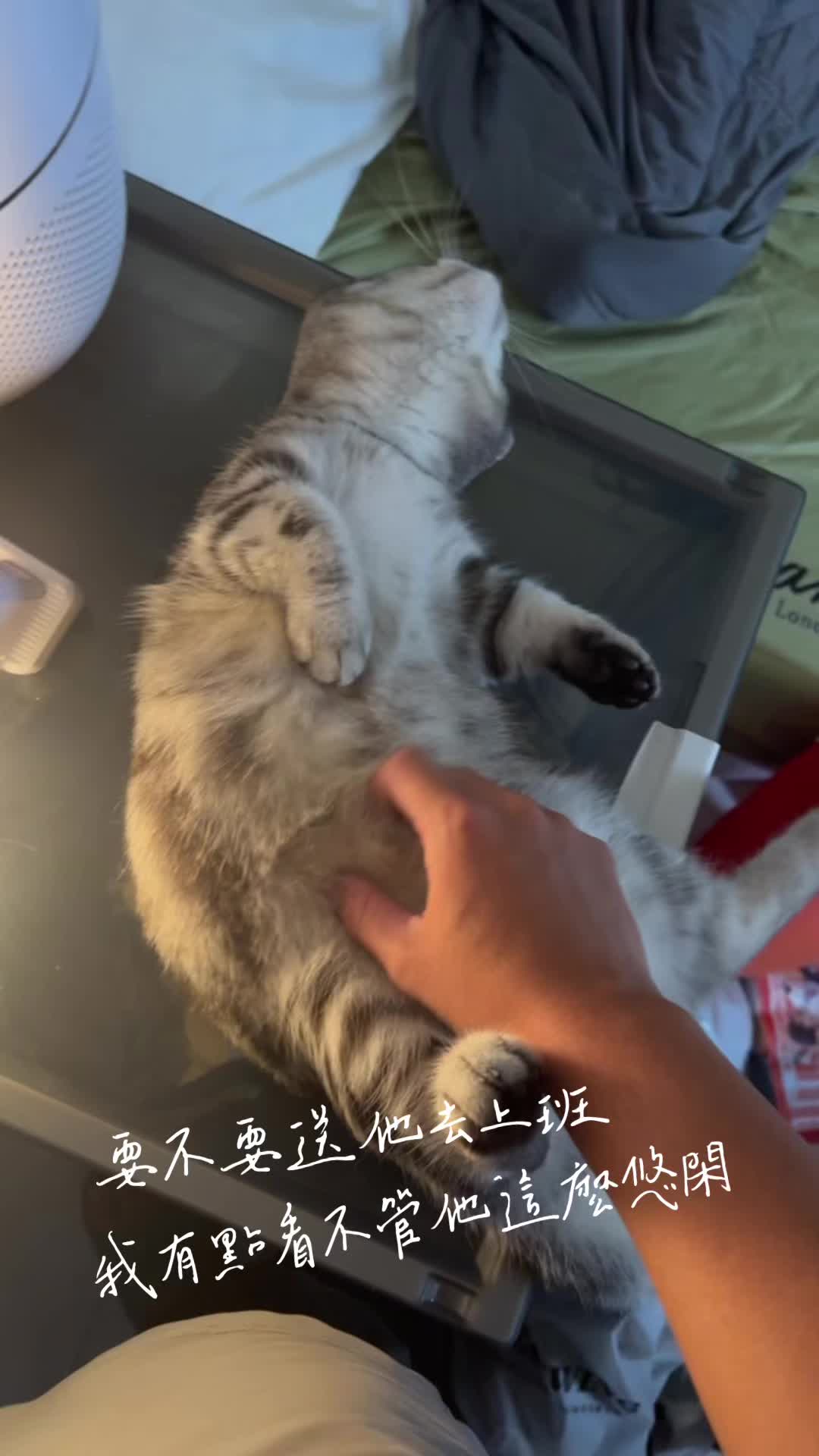 @冠霖老師🇹🇼