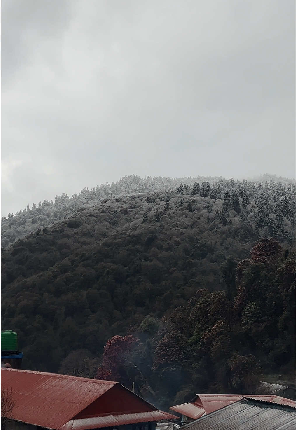 @Diya gurung