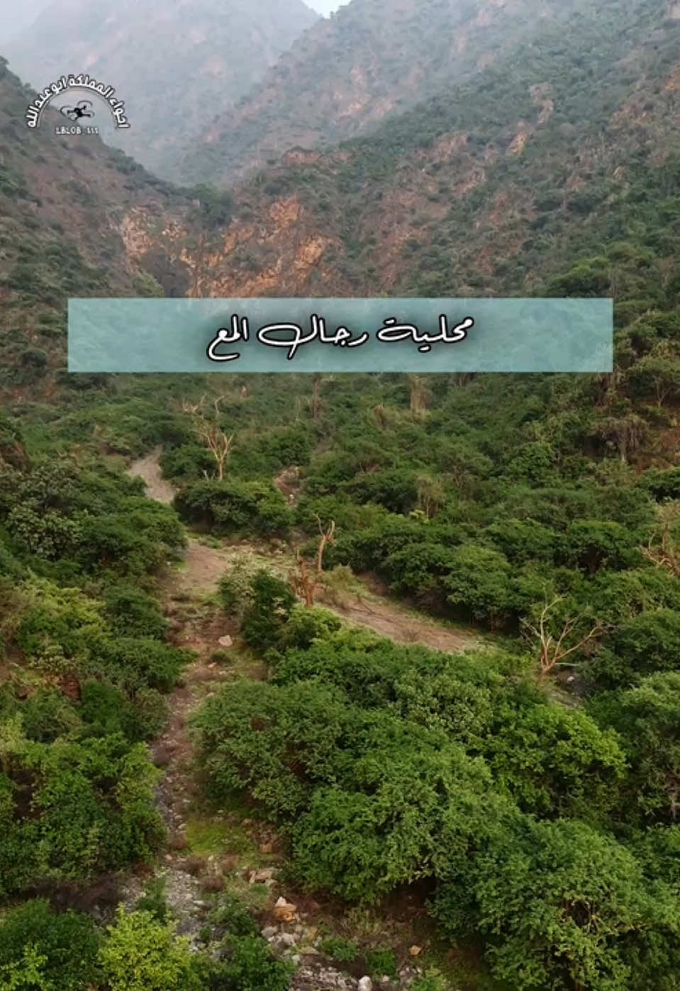 @اجواء المملكة ابوعبدالله 📸