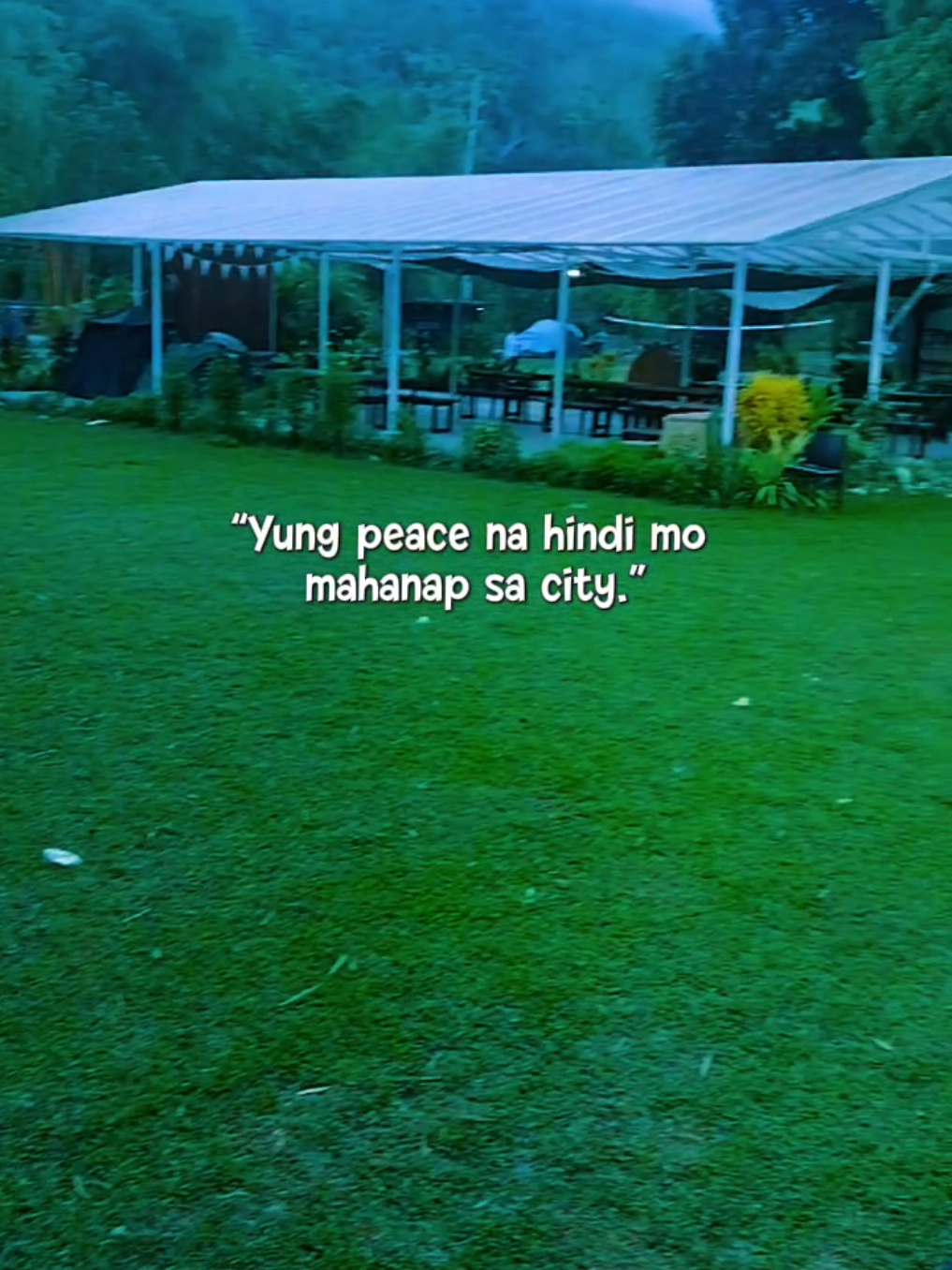 @Ms. Lhie