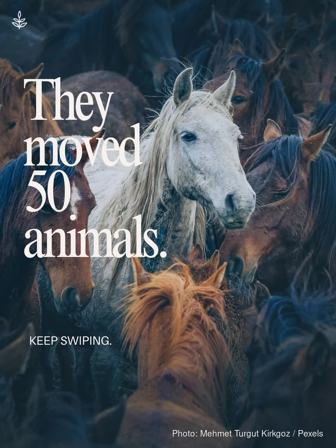 @LIVEKINDLY