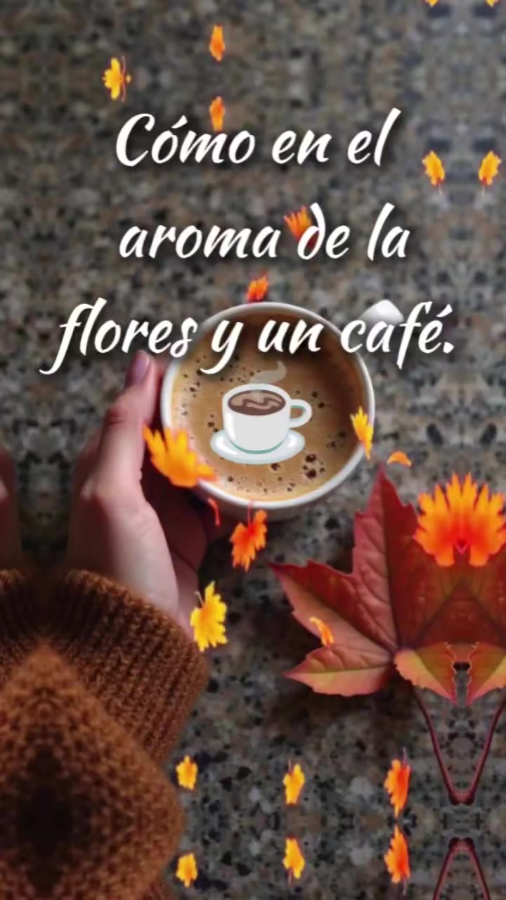 @Arely Mendoza Frases bonitas