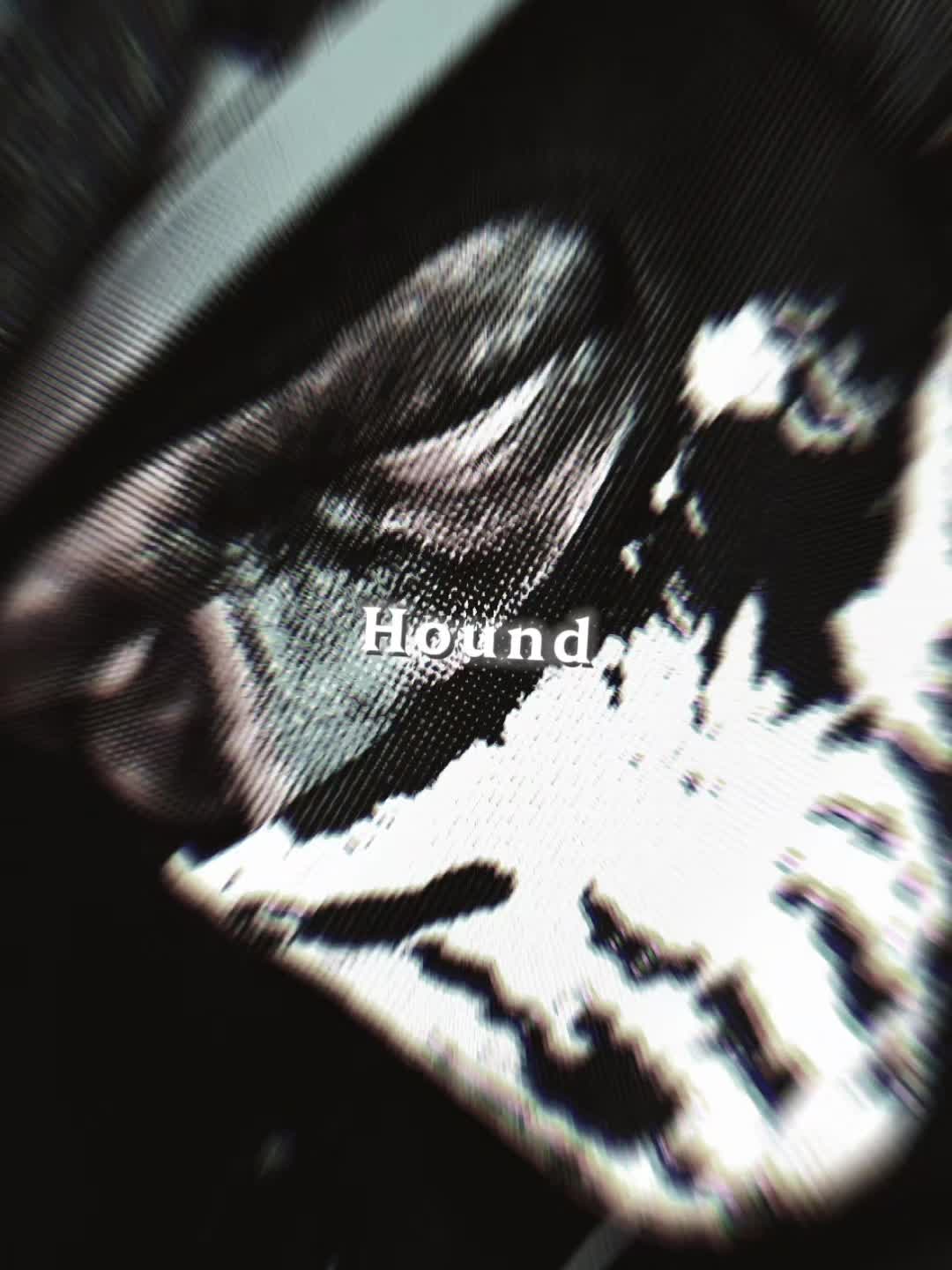 @Hell Hound