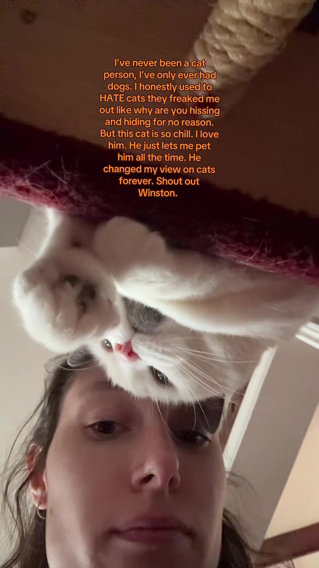 @thescariestmary