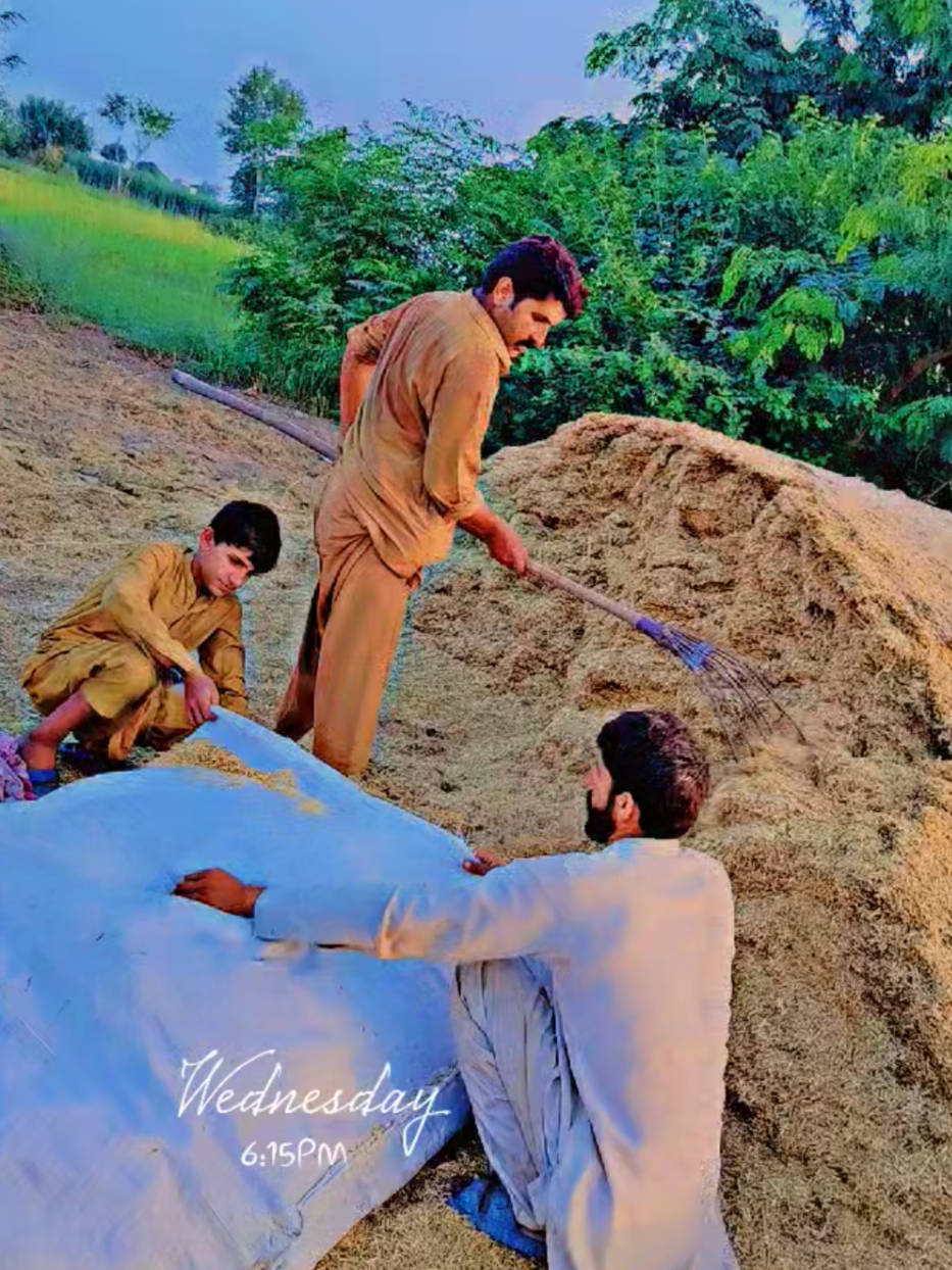 @fakhar mahmood fakhari