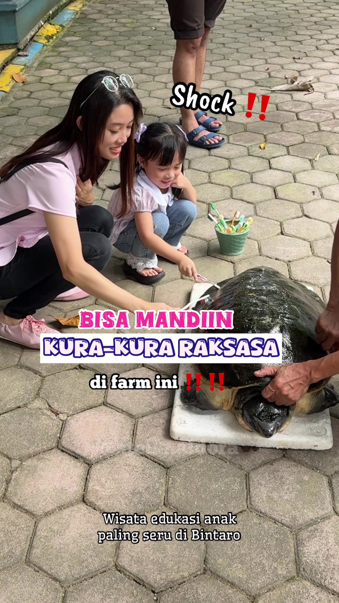@Stella aldora