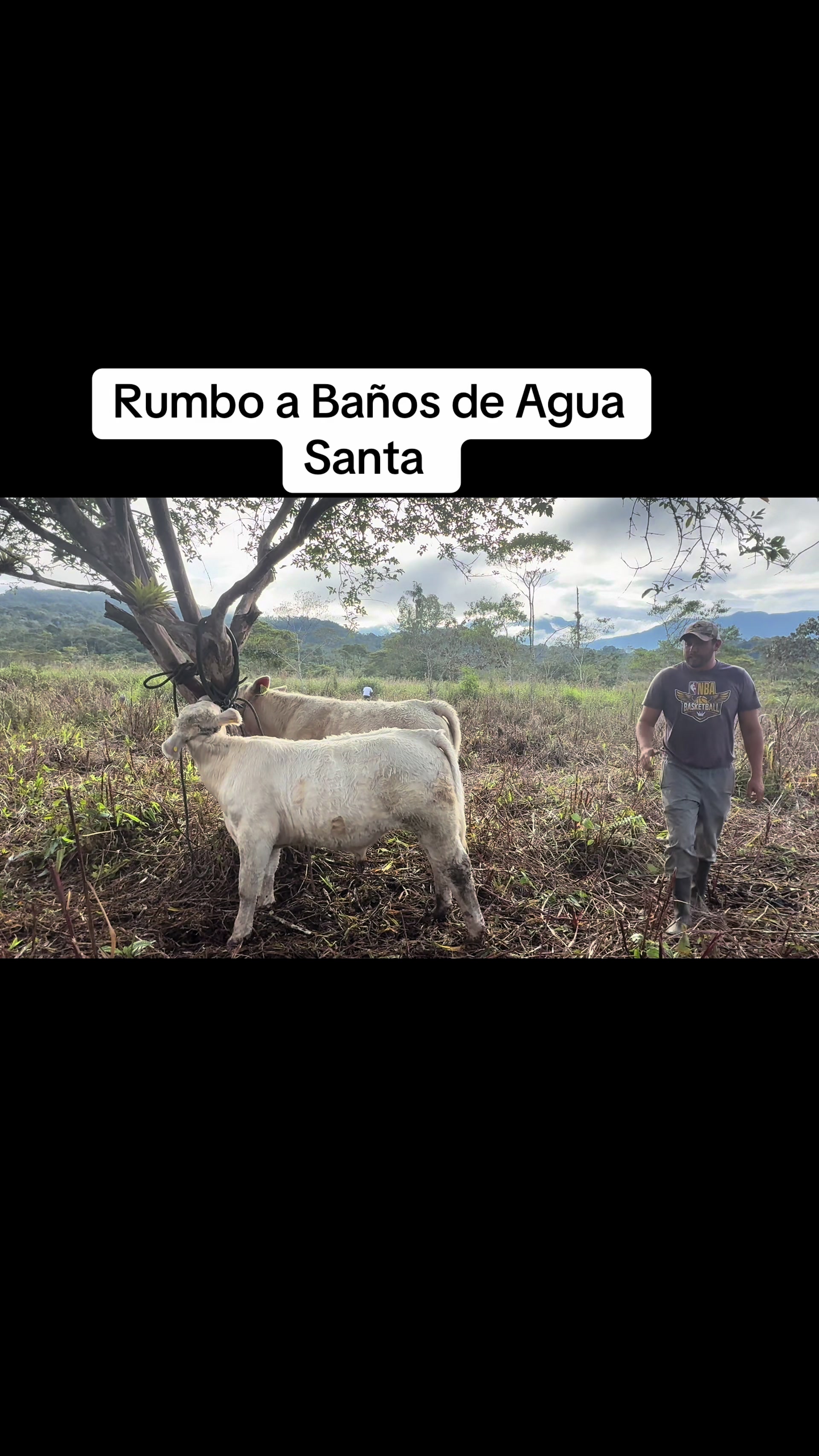 @Hern&aacute;n Andres