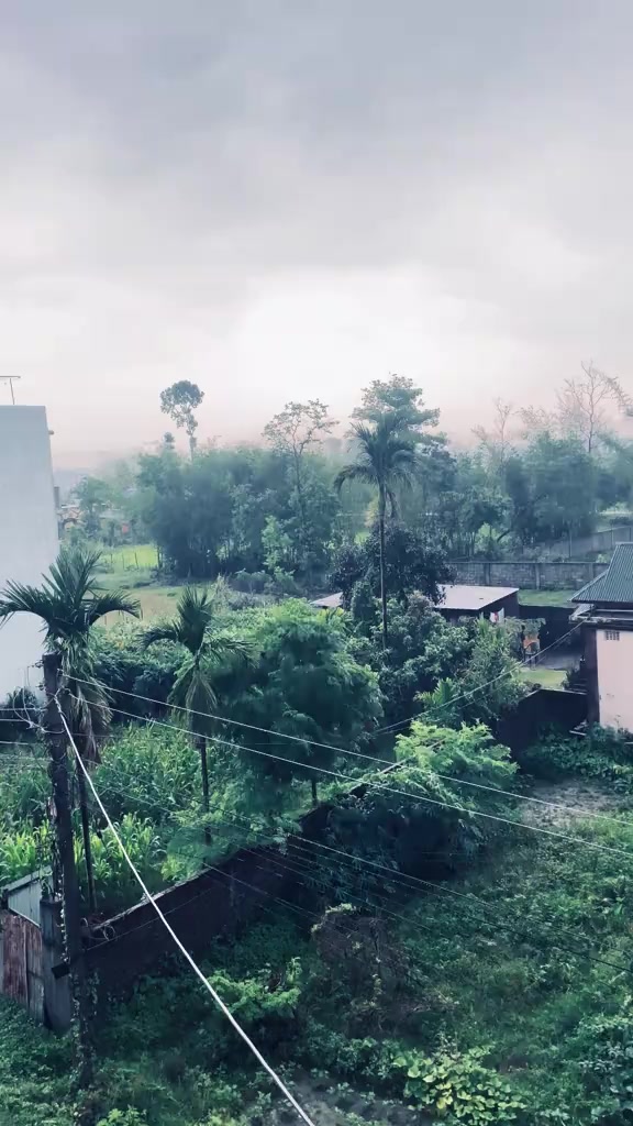 @Manish M Tamang