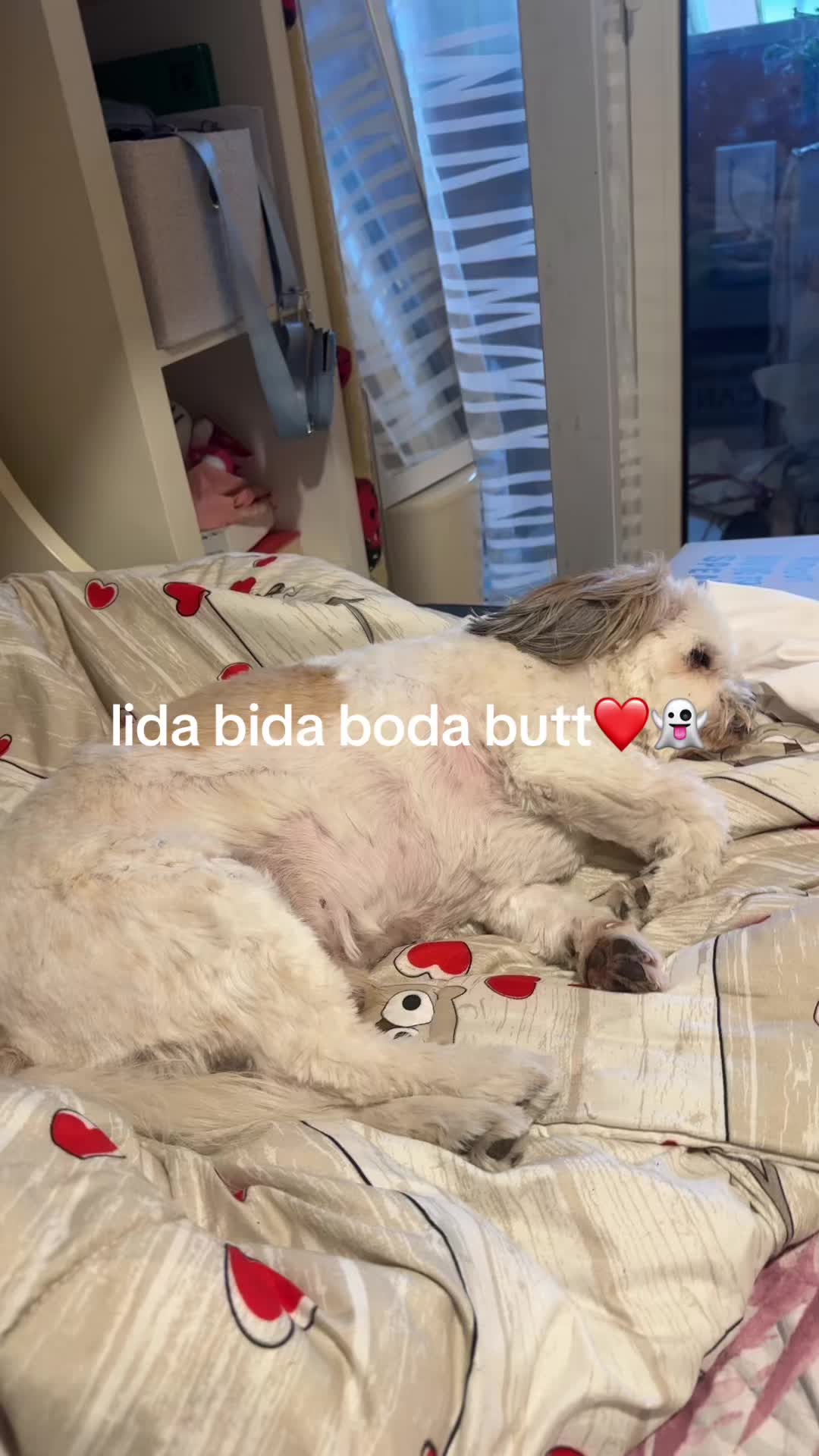@pippiroppi