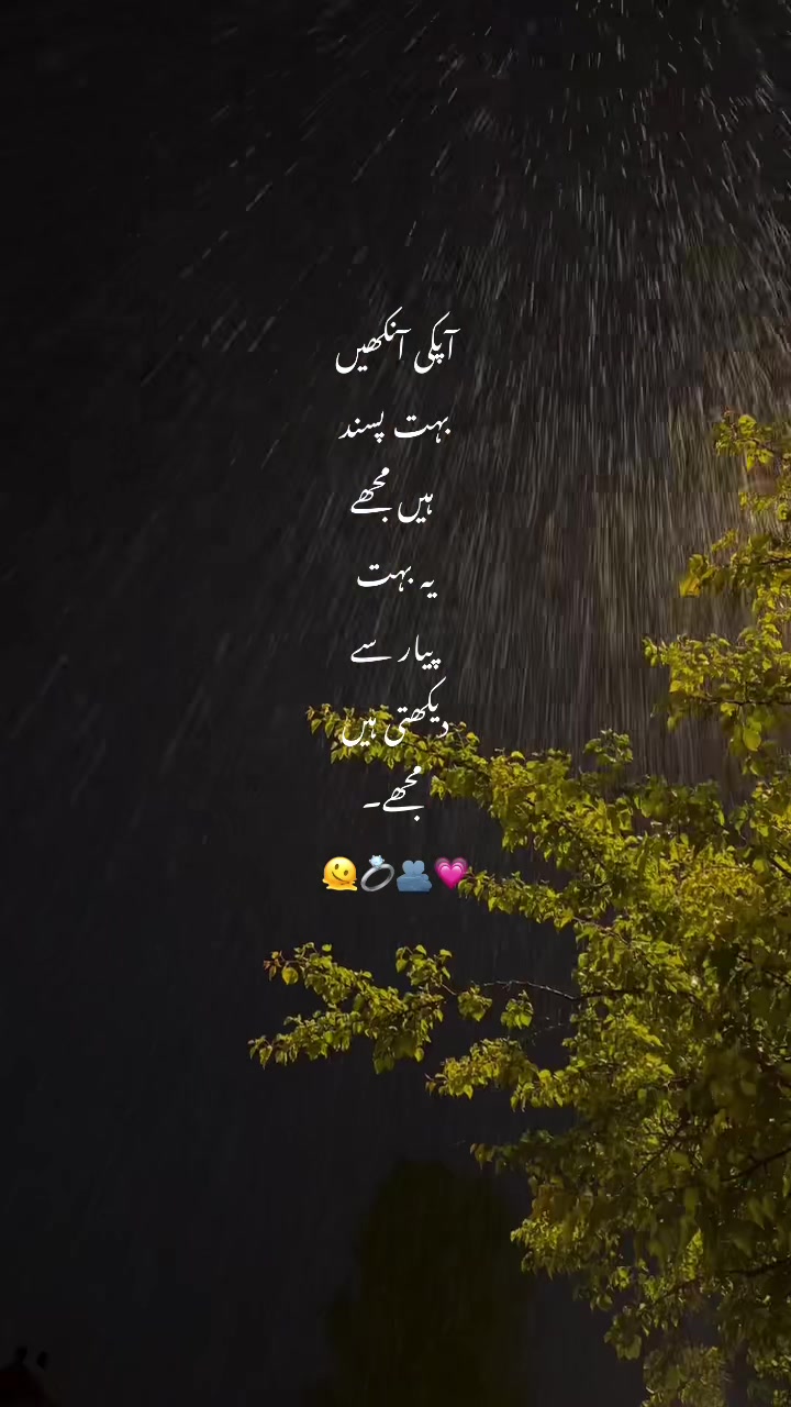 @~𝓢𝓱𝓪𝓶𝓹𝔂⏤͟͟͞͞. 𐙚⋆🌚💗