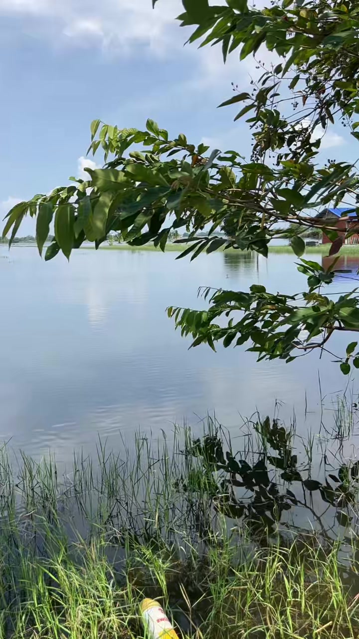 @Miss.Siri.. LIFE..🎉