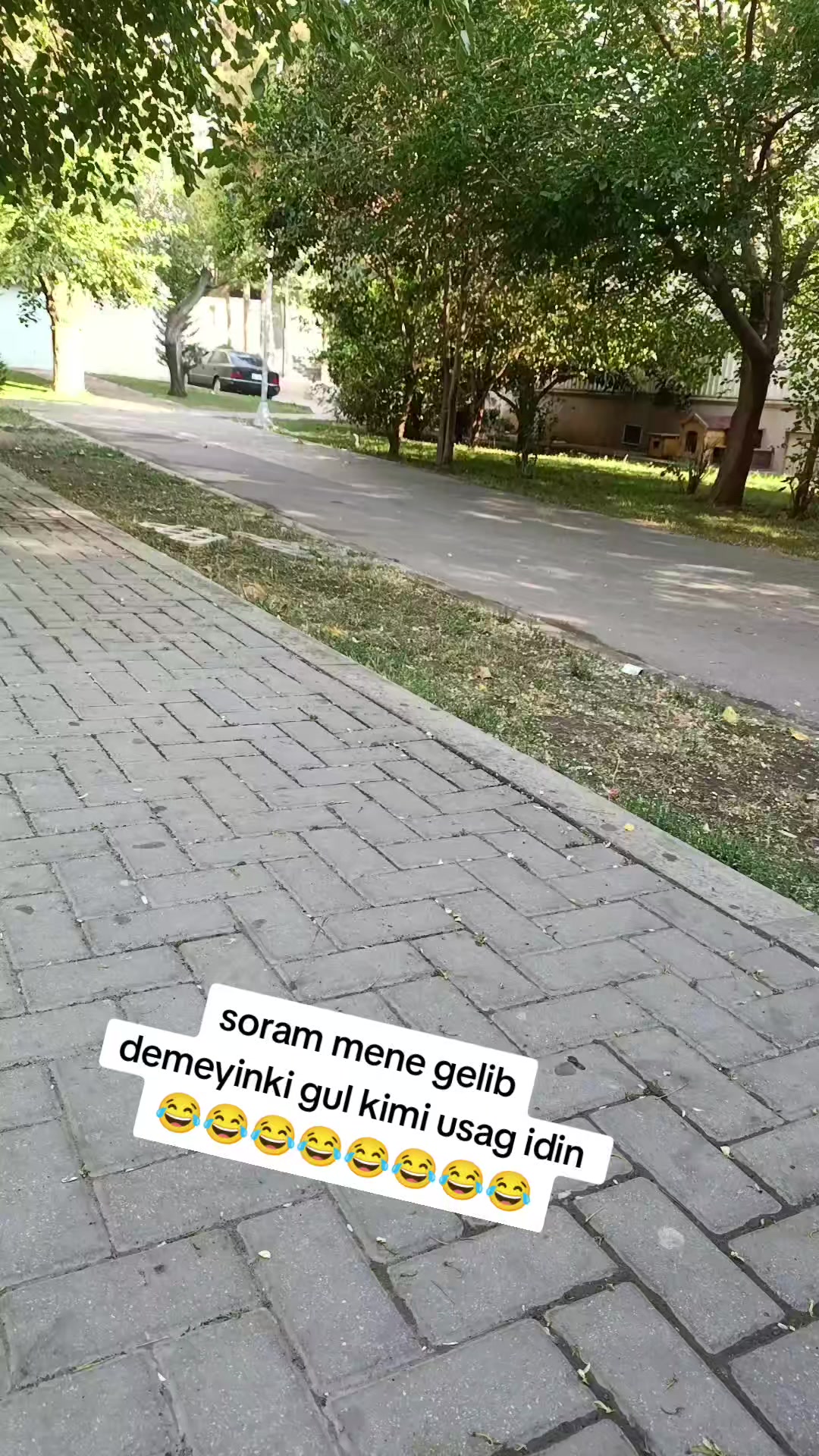 @xeyalrm