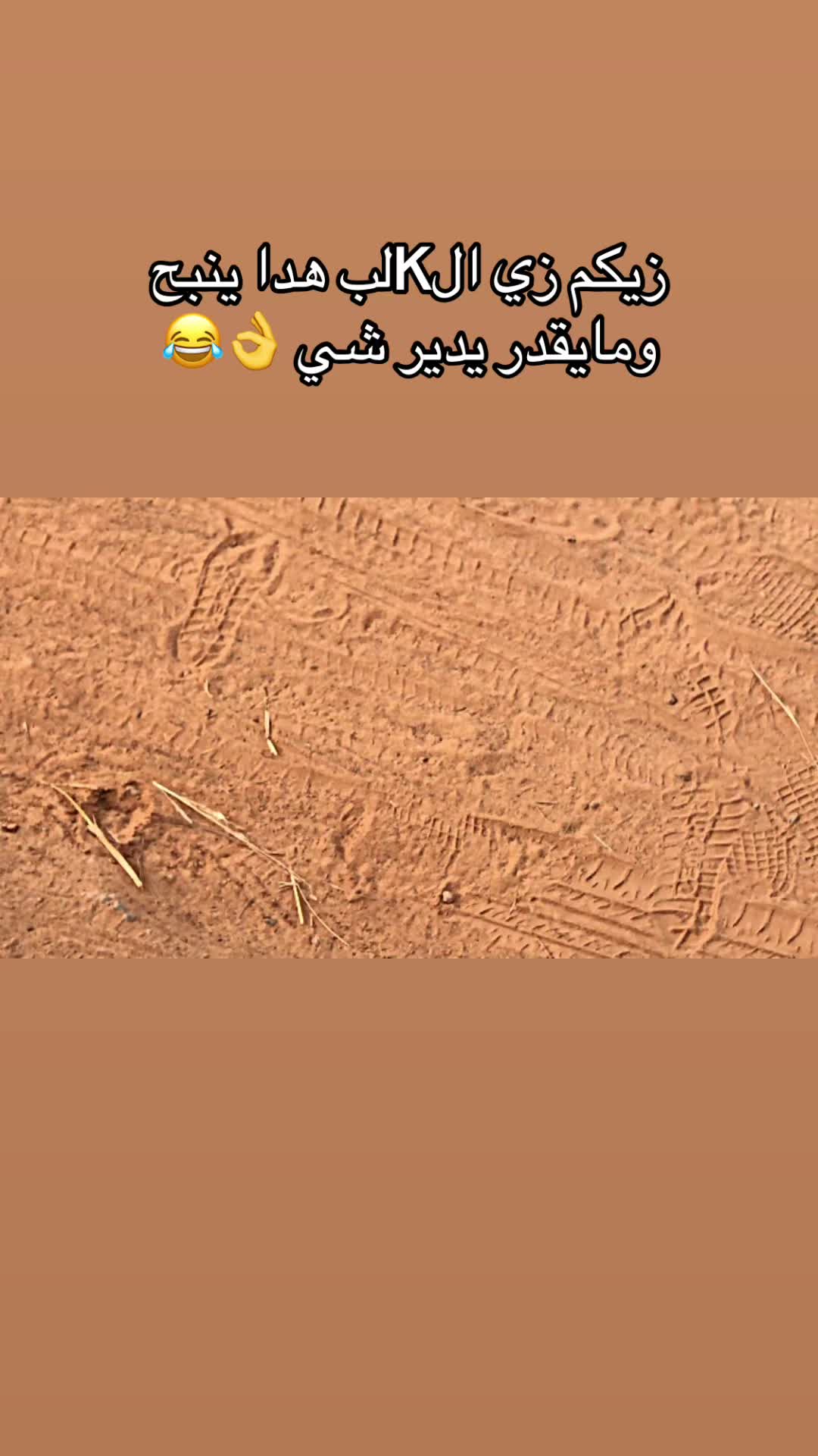 @ولد _عيت_ الشاوش ❤️🔥