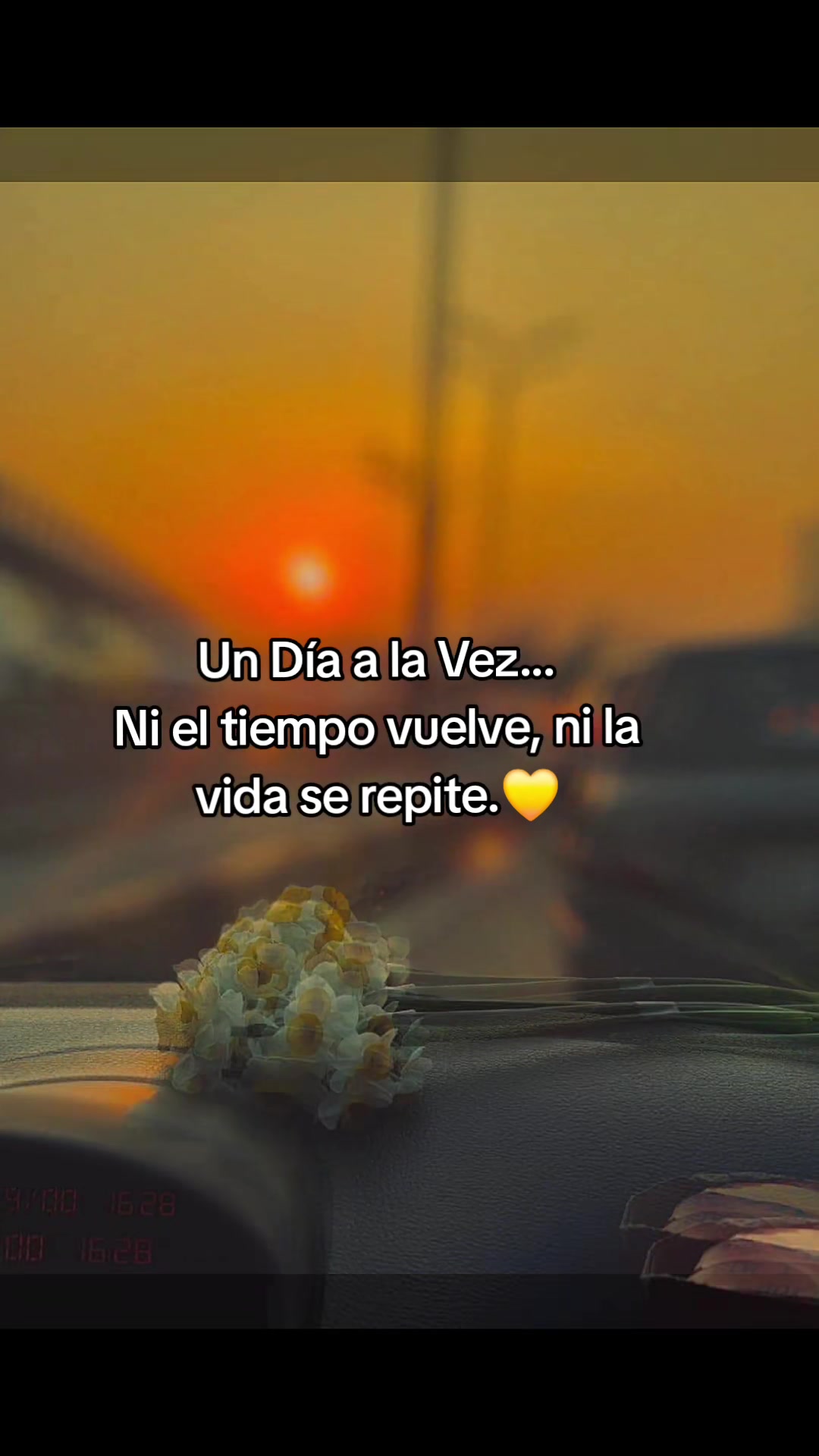 @mily 🌻