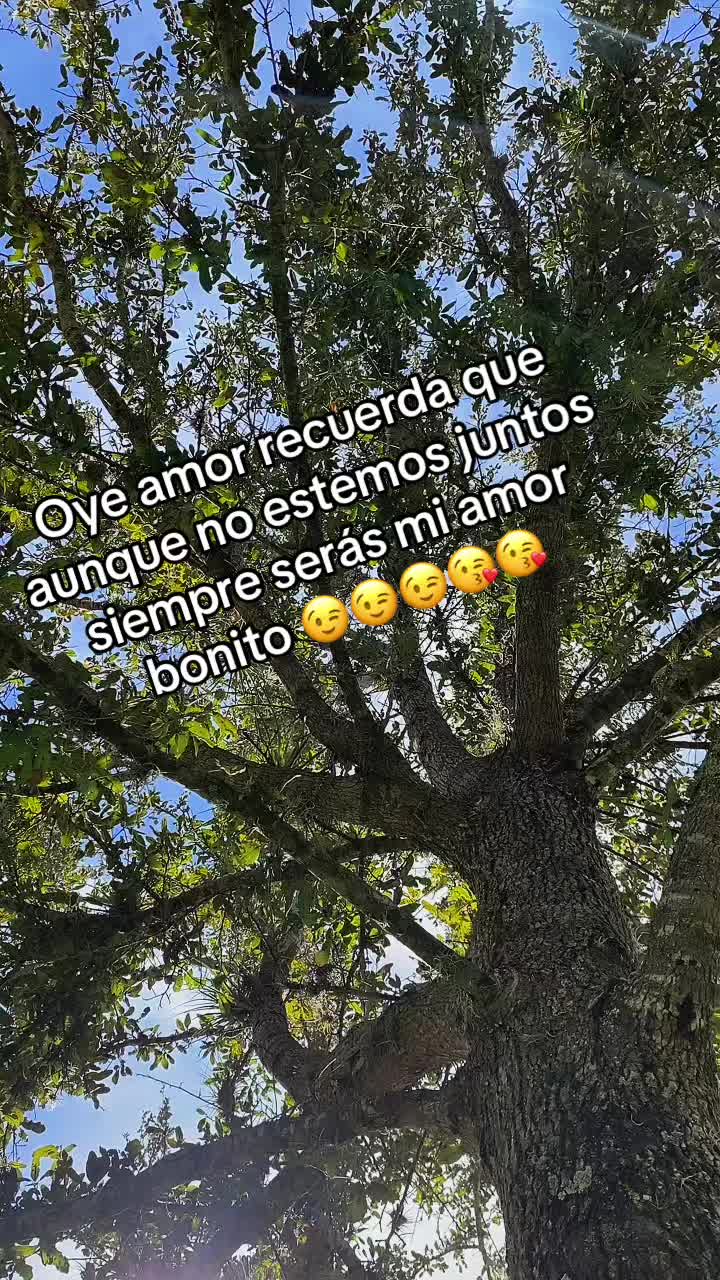 @Ana Delgado