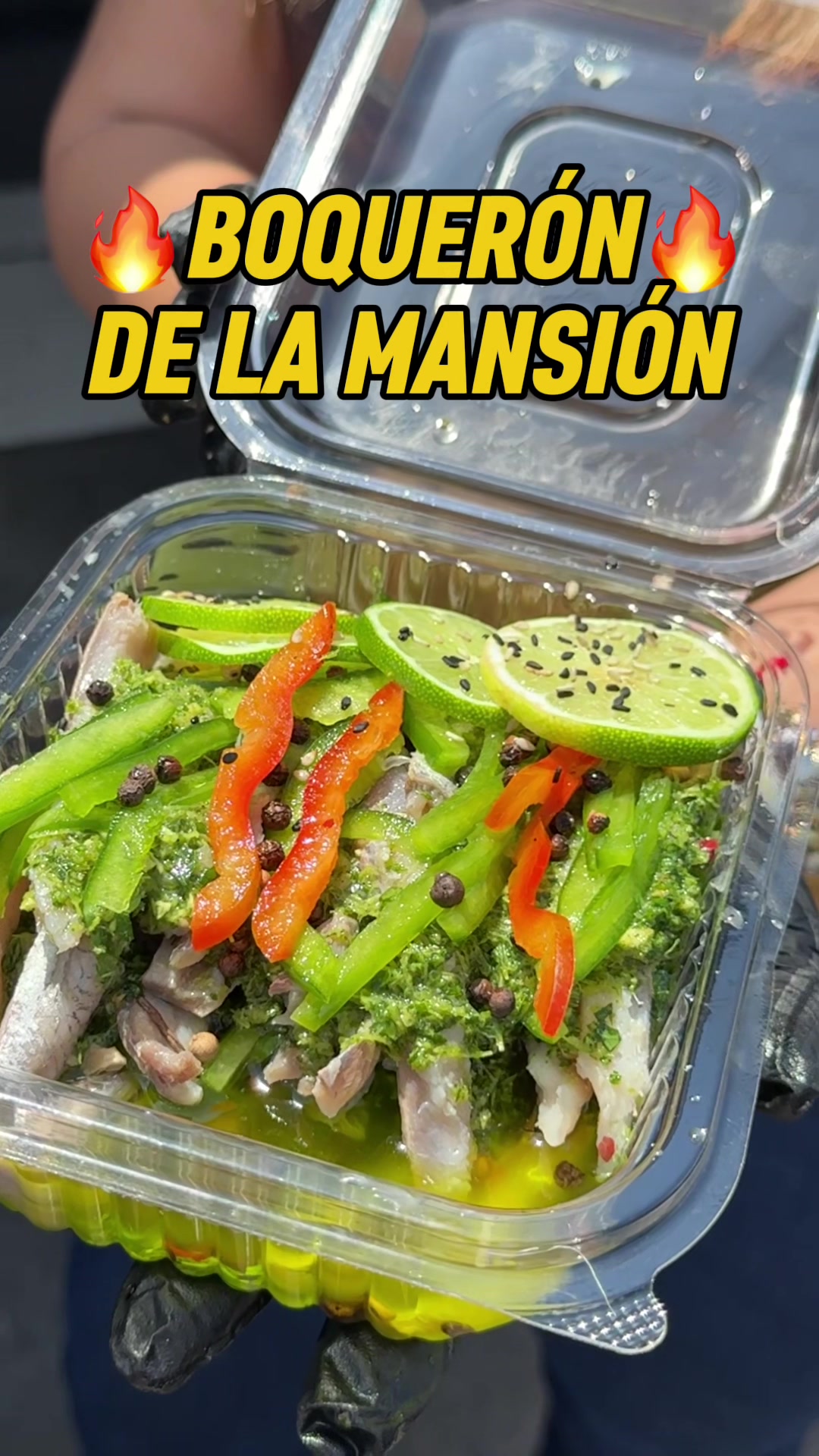 @Lamansiondelpescado