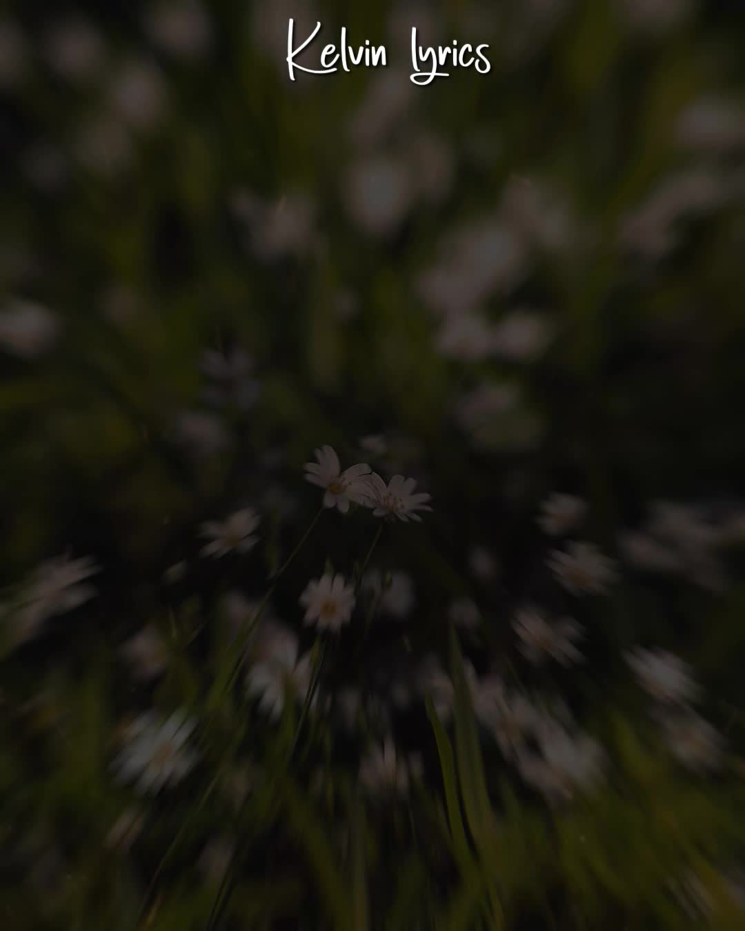 @𝐊𝐈𝐍𝐆 𝐎𝐅 𝐋𝐘𝐑𝐈𝐂𝐒