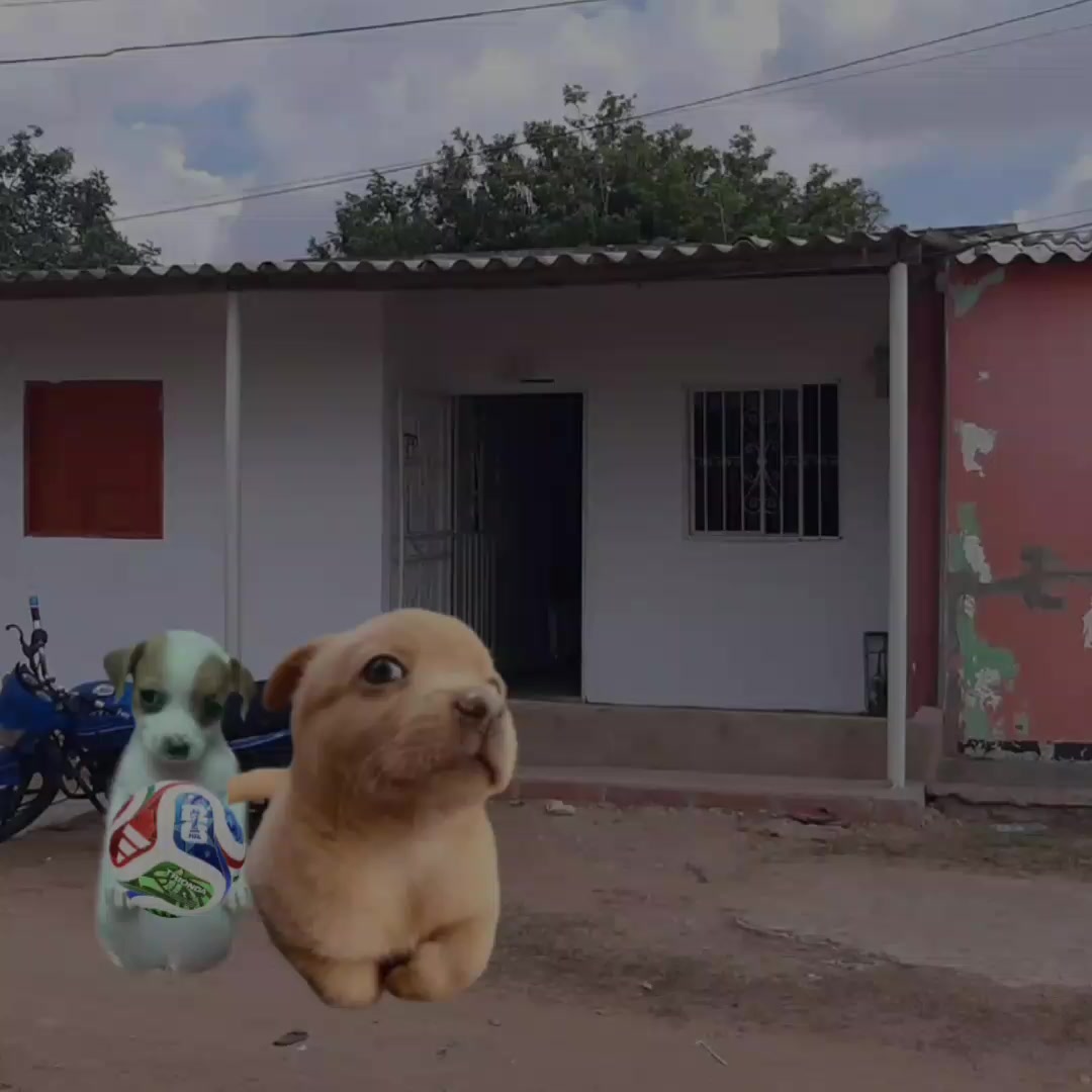 @Diego_EHJ