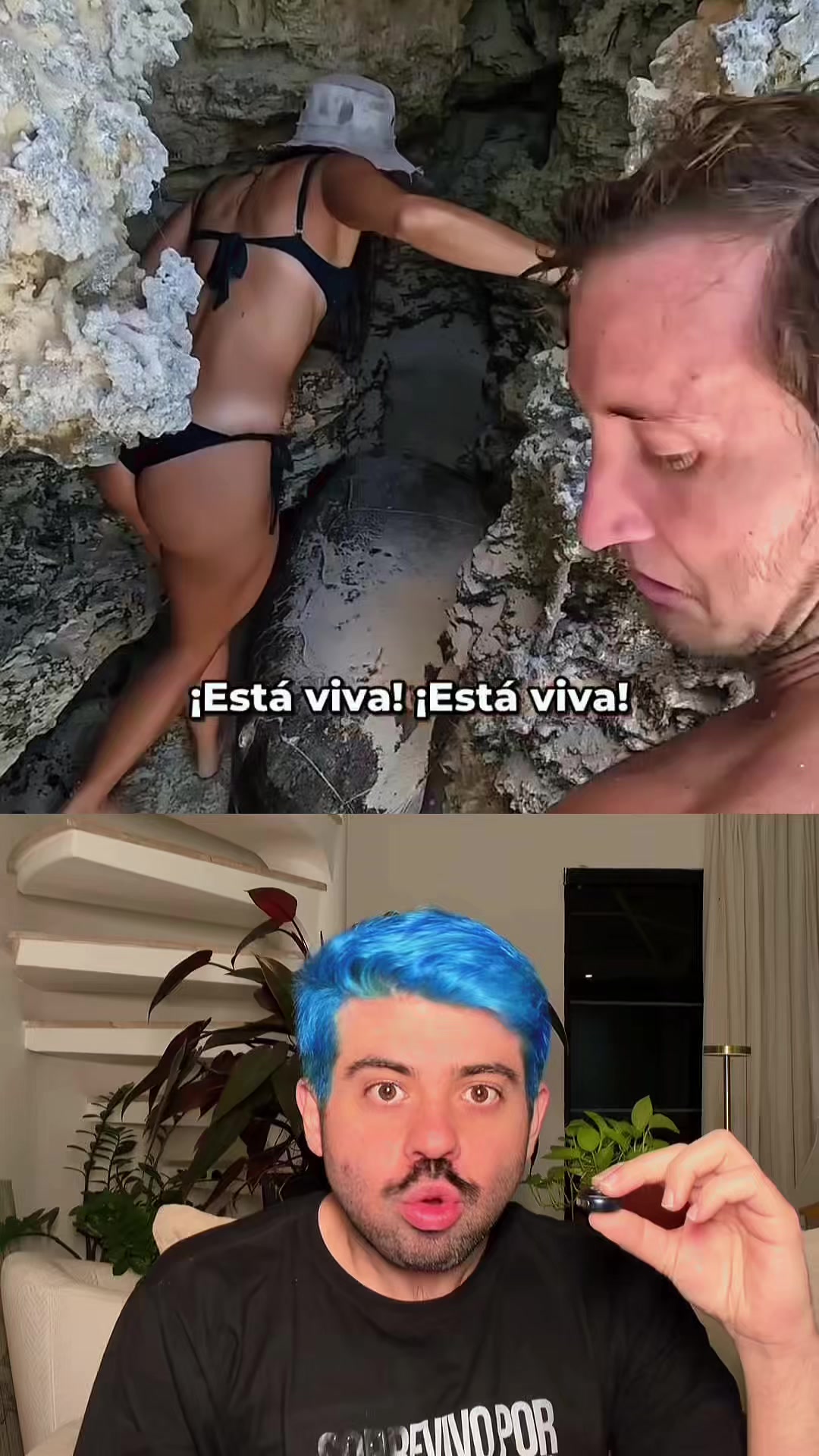 @Vinicius da Ilha 🏝🏳️🌈