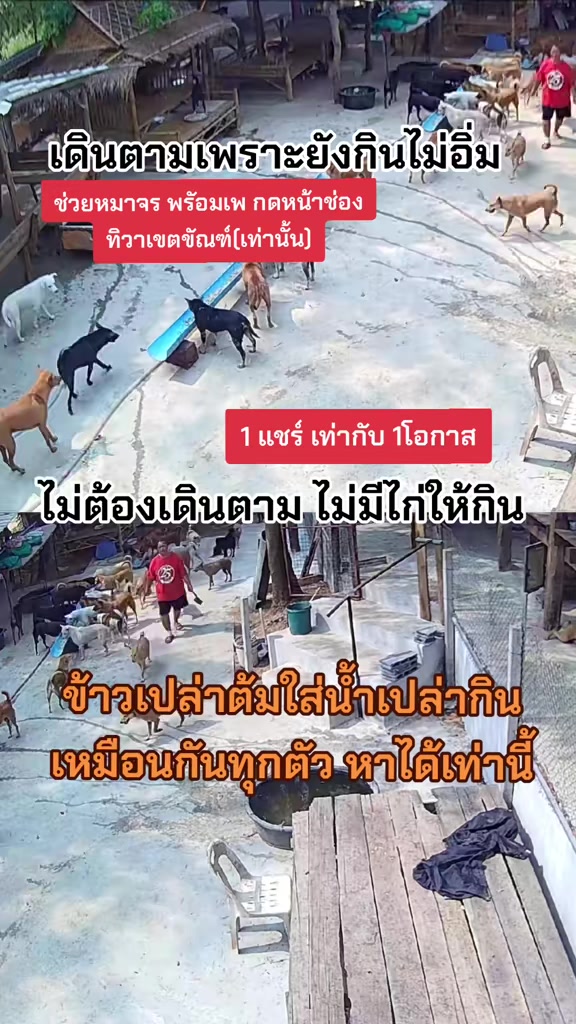 @๐๘๖๑๔o๘๓๙๖ทิวาเขตขัณฑ์