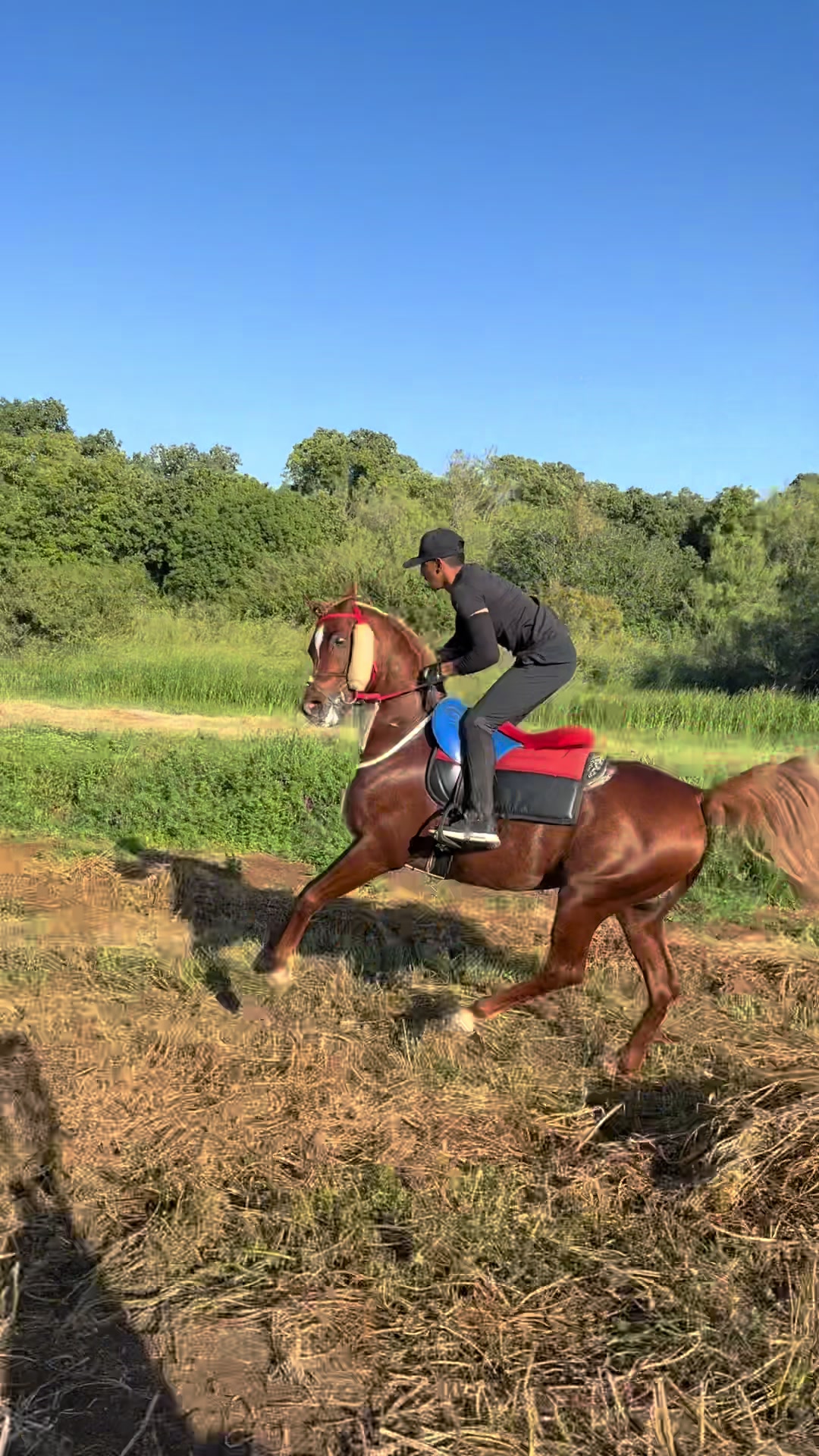 @חוסיין כעביה🐎