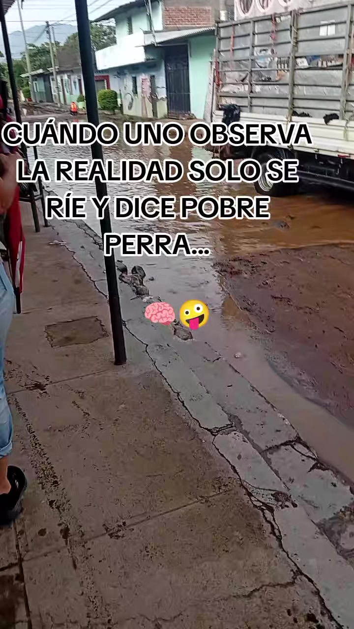 @Mar del Sol