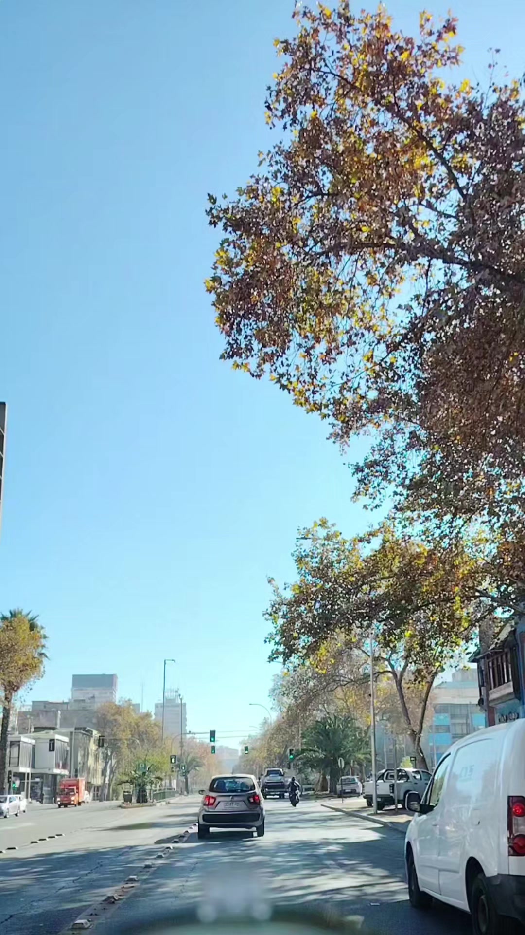 @ANDRESITO 🇨🇱🇨🇱🇨🇱🫶