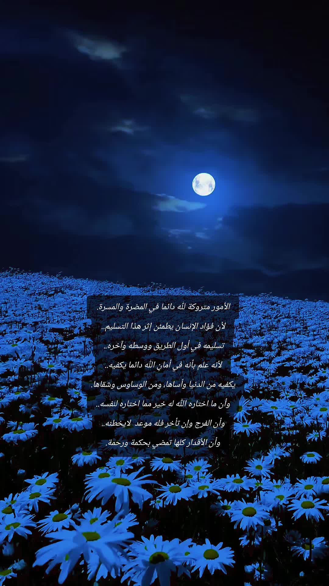 @☁️🇸🇦🤍