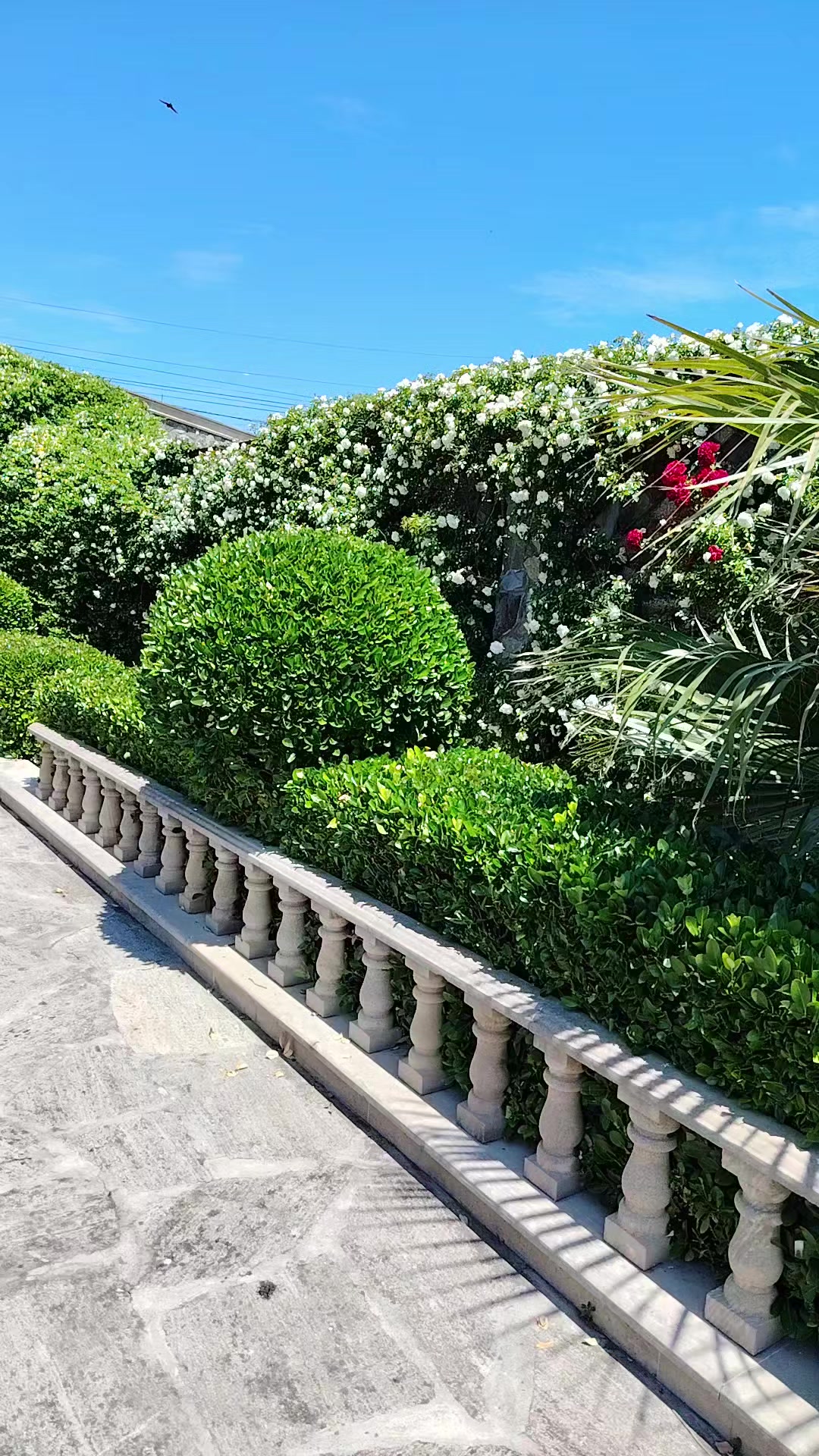 @Bağban