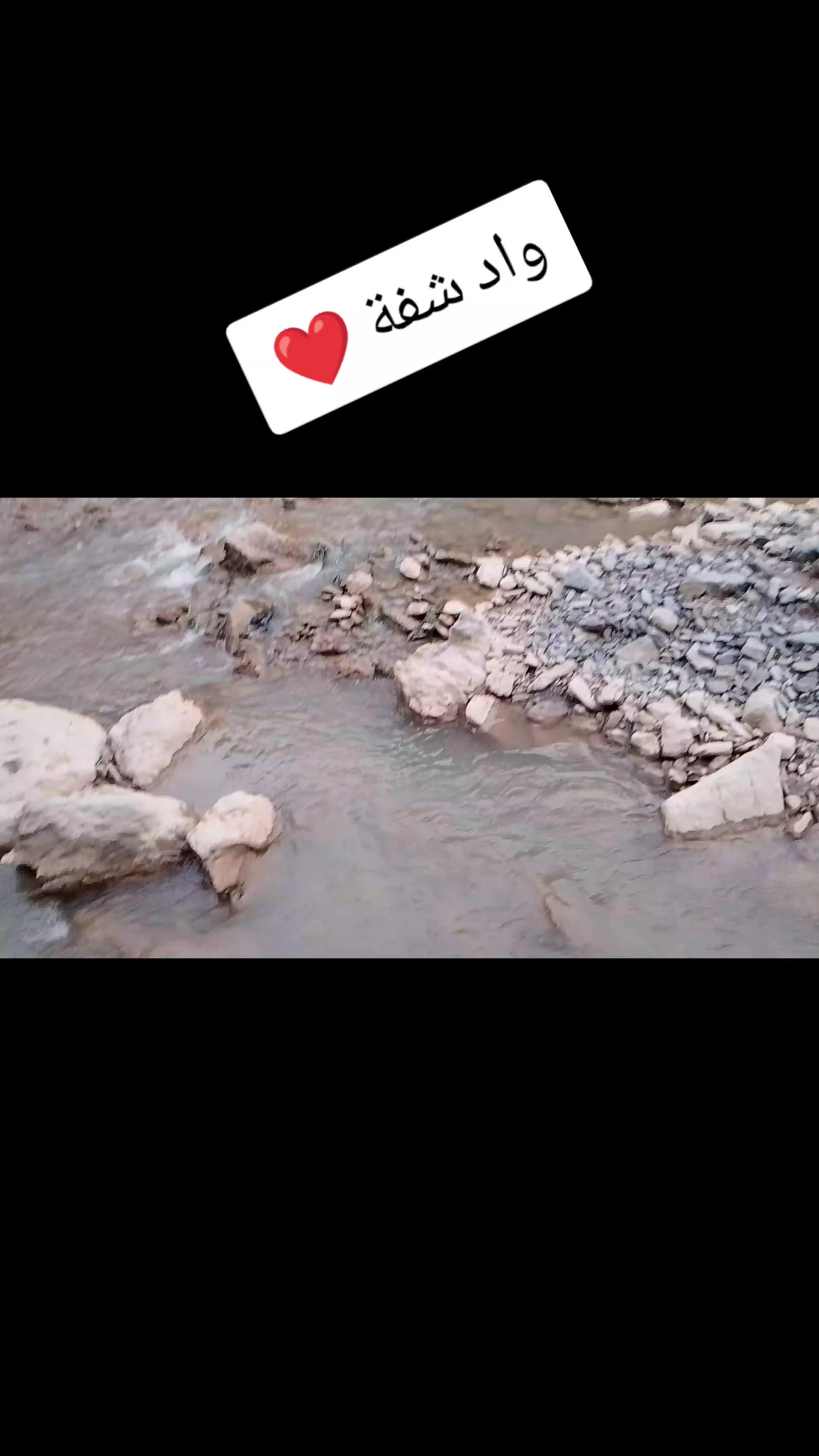 @farid dz42