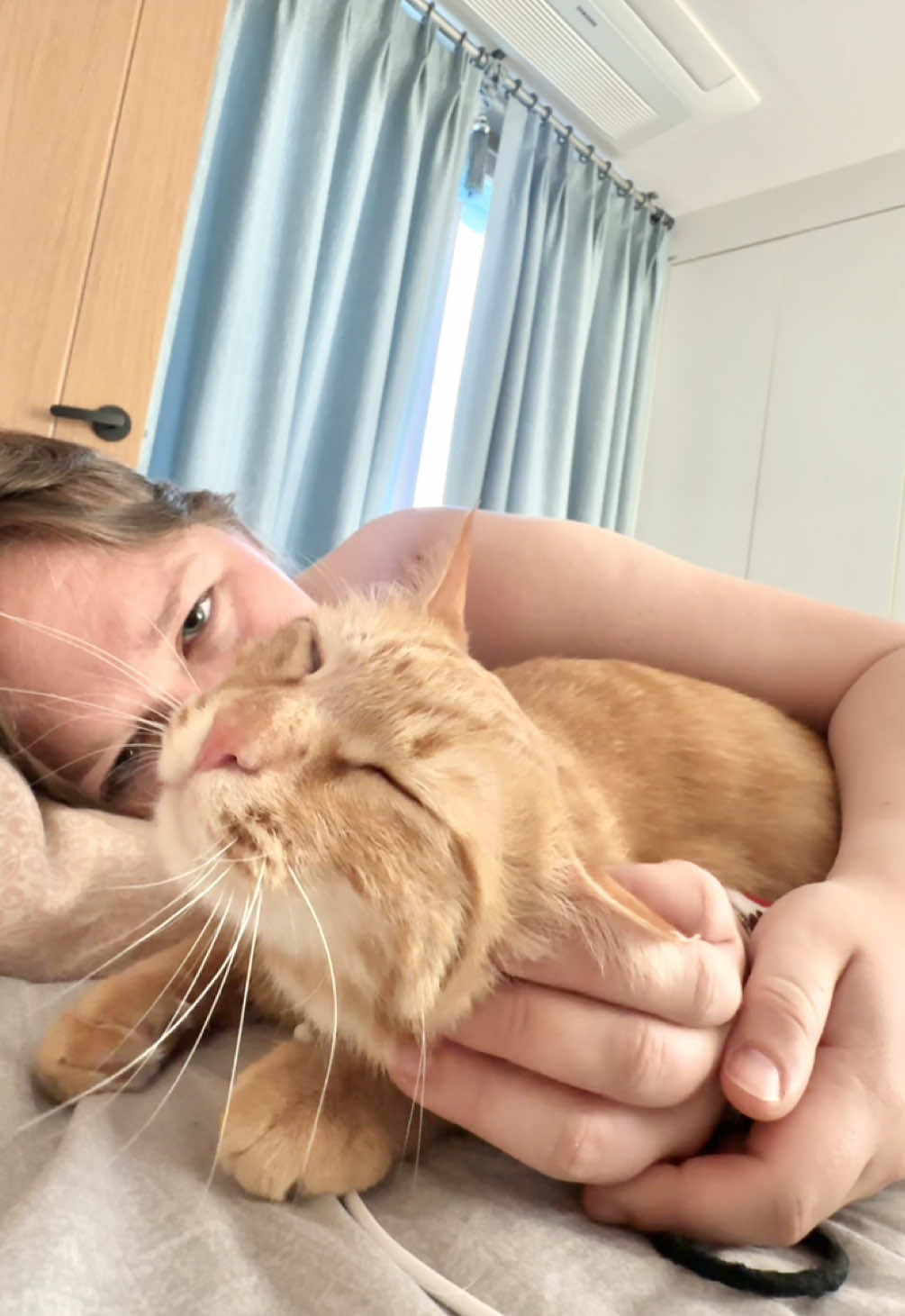 @MyStrayCheese