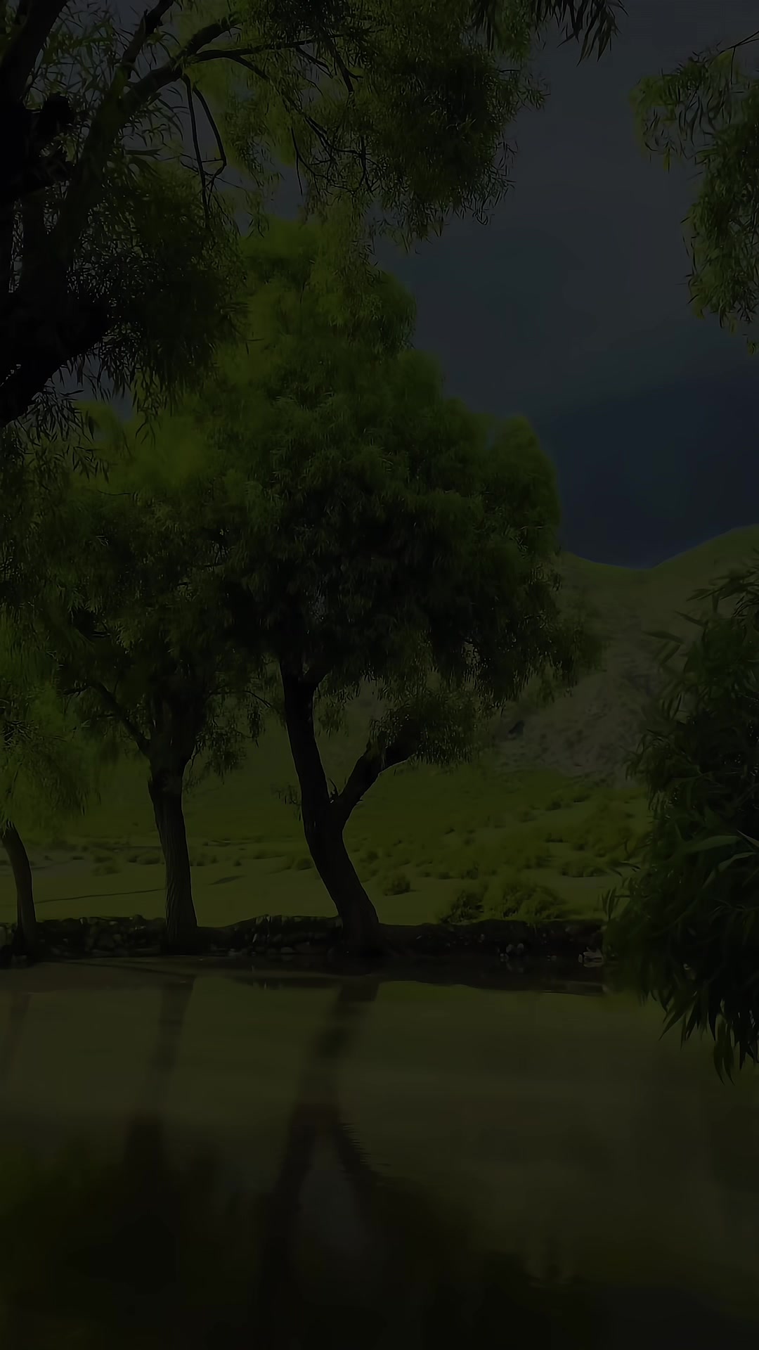 @𓆩𝐘 ᴛᴜʀɪ𓆪✪