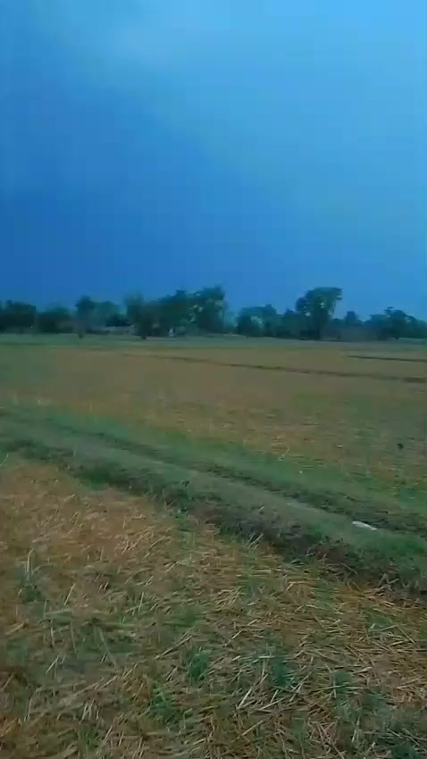 @لٹی ذوالفقار کشتی پہلوان